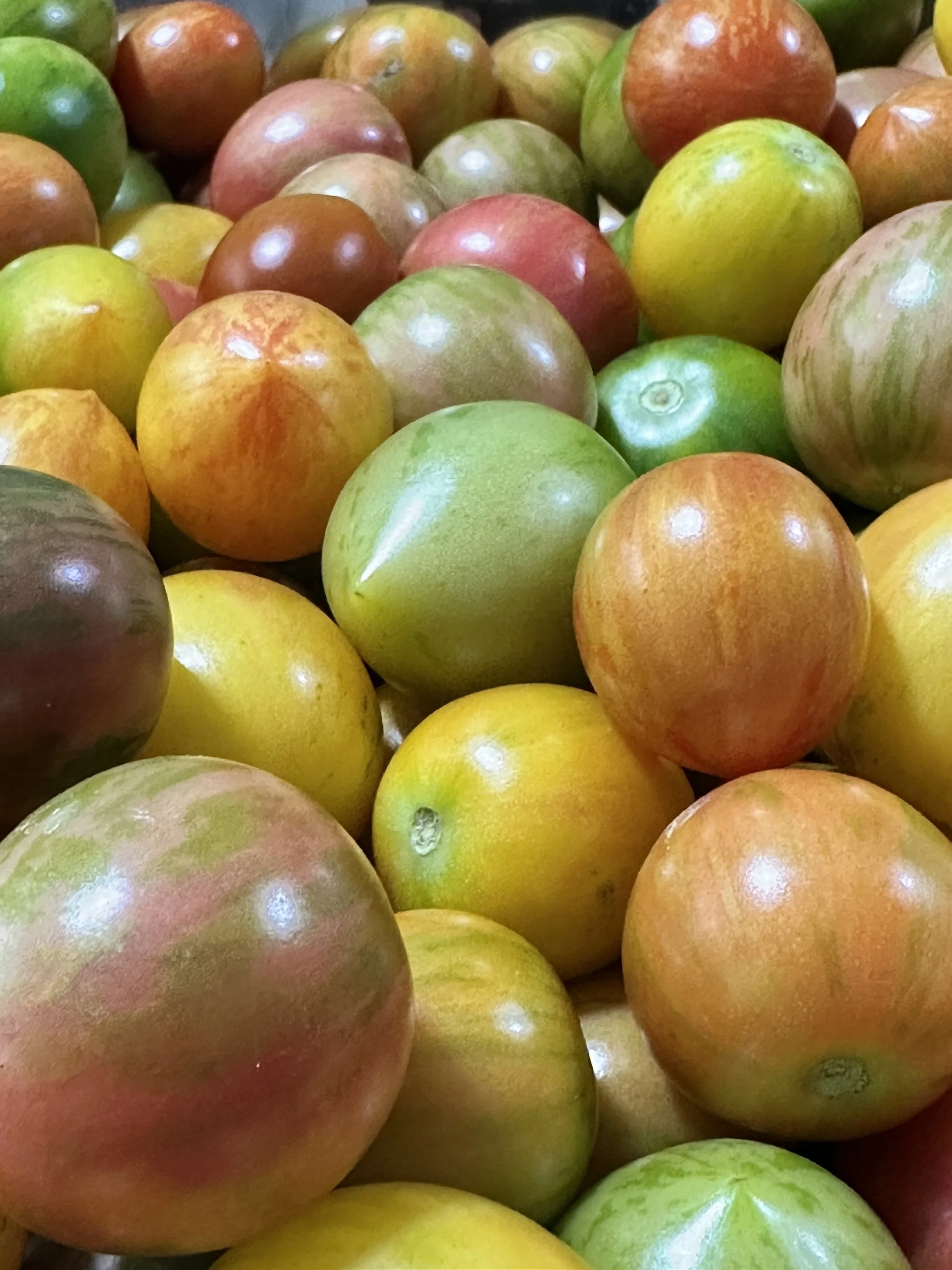 Arters Acres 2027 Summer Farm Share
