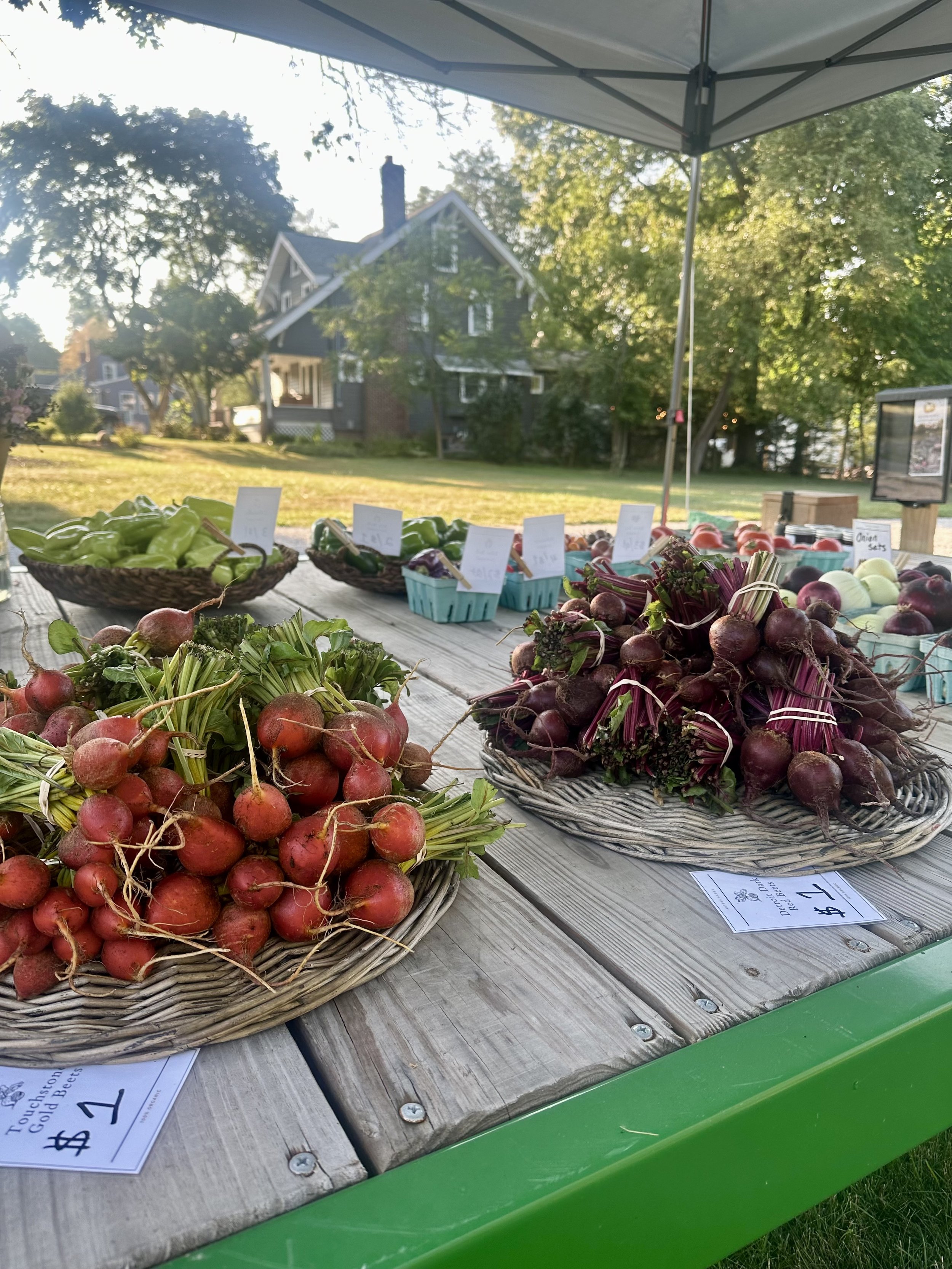 Farm stand with baskets of radishes and beets on a wooden table under a canopy, with a house and trees in the background.