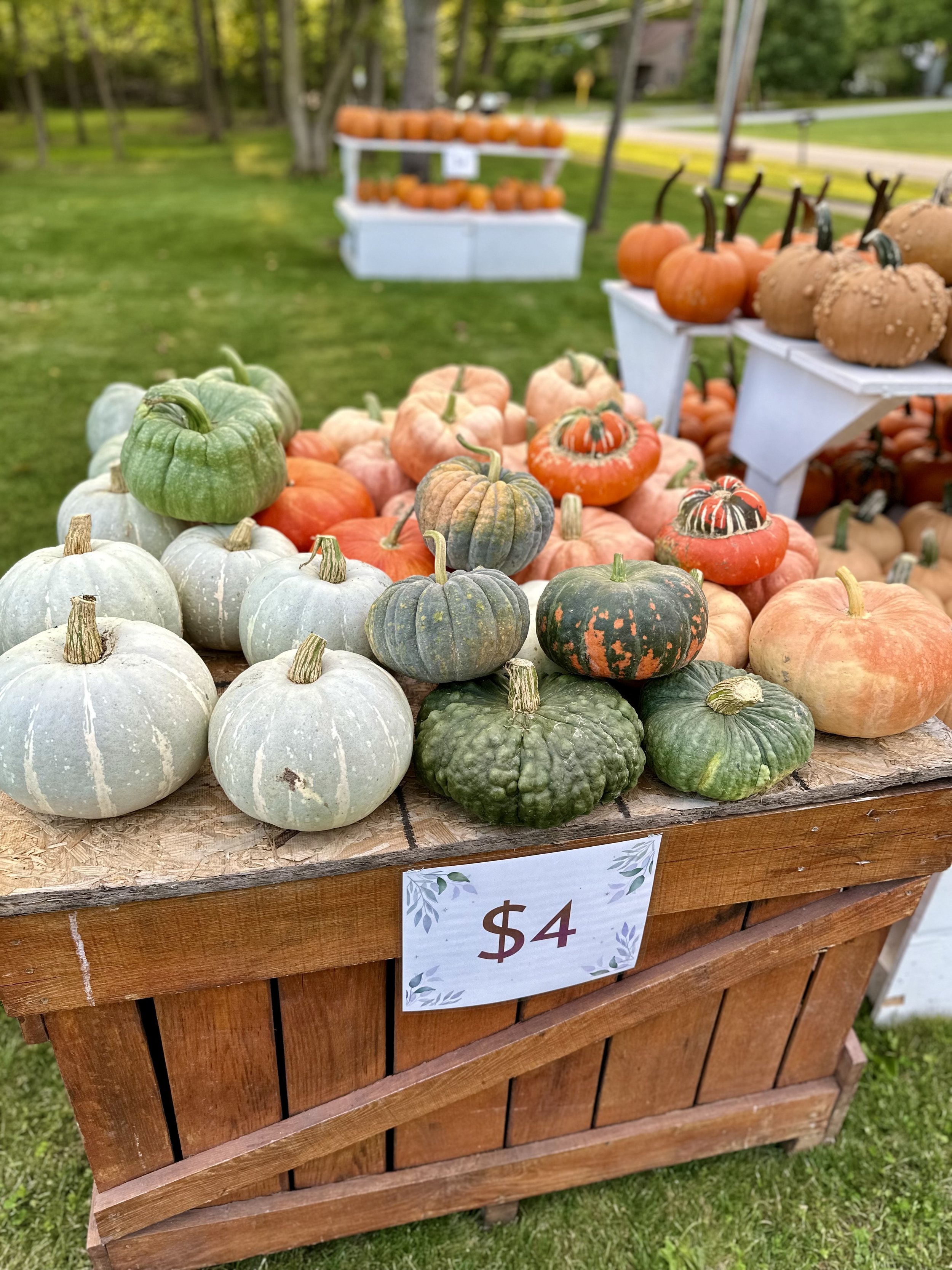Pumpkins and gourds displayed on a wooden stand with a $4 sign outdoors.