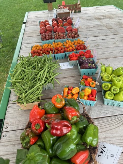 Assorted fresh vegetables at a farmer's market, including green beans, tomatoes, assorted peppers, and eggplants, displayed in baskets and cartons on a wooden table outdoors.