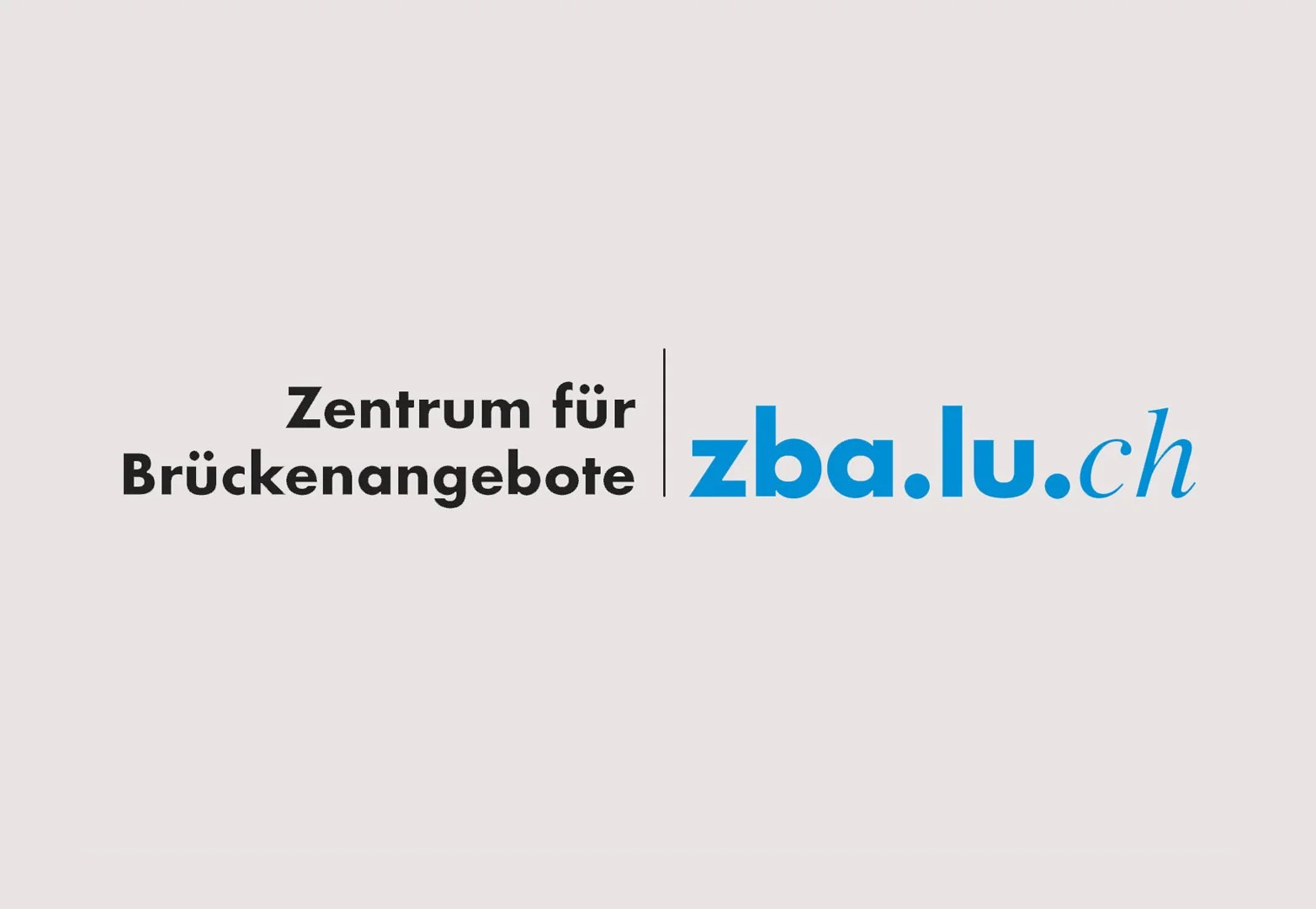 Fokus Unterricht – Angebot Zentrum für Brückenangebote