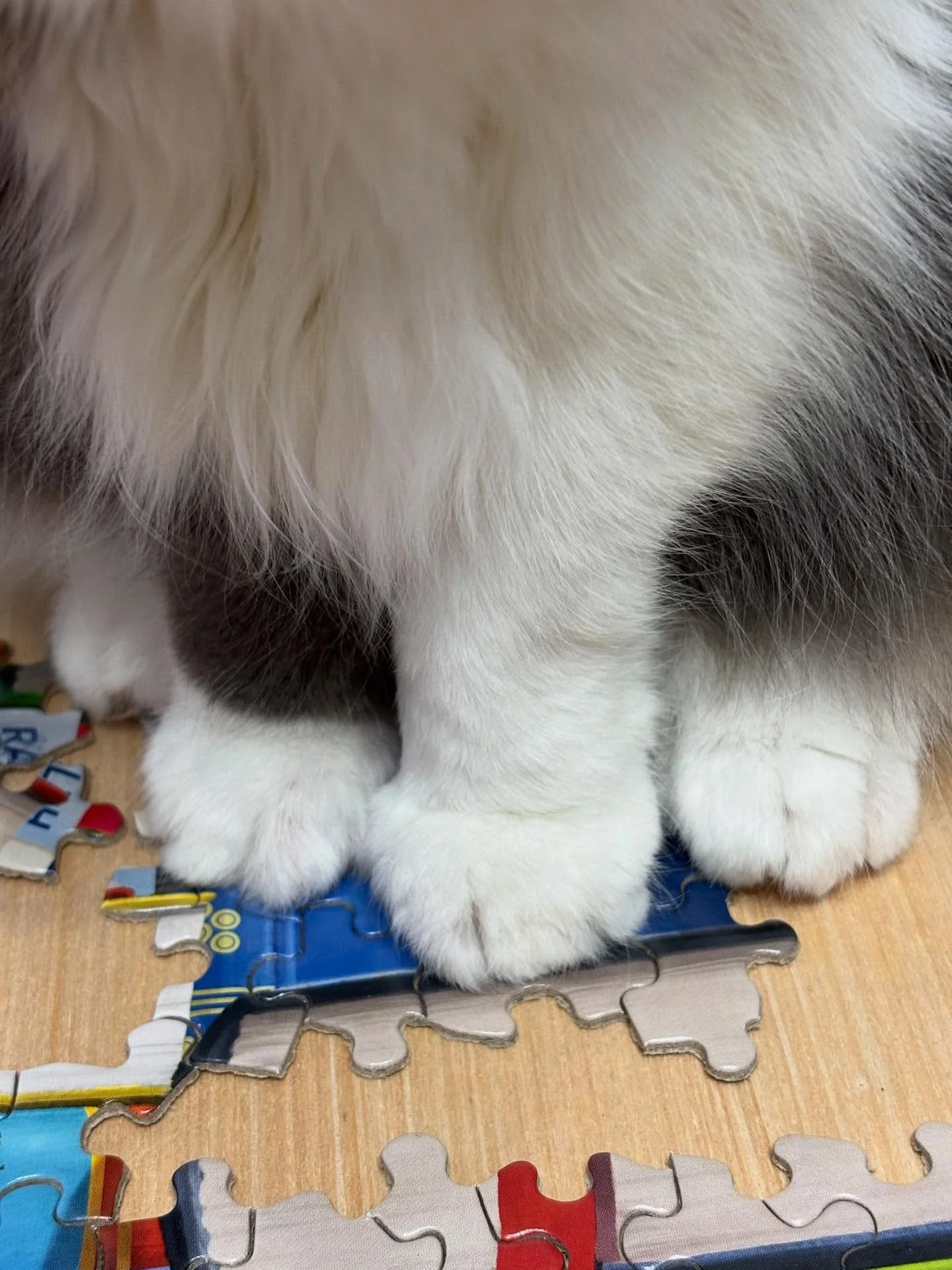 It&rsquo;s January 2nd and I have already messed up. 

I could blame on stress and residual exhaustion from 2025, but honestly it was just a blip and I take full responsibility. 

That said, I am positive that the blip was directly related to my retu