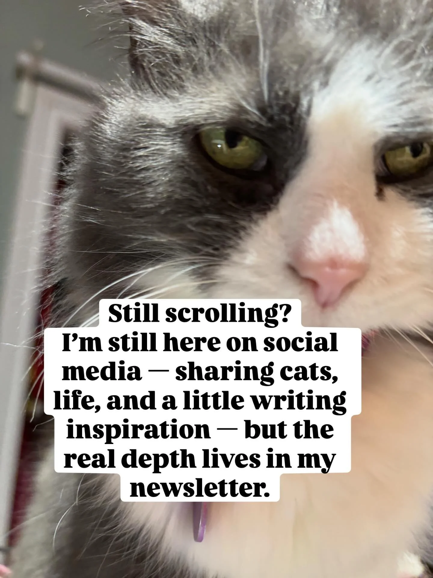 I&rsquo;m still here on social media (cats, life, little sparks of writing inspiration &mdash; you know the usual 😺), but I&rsquo;ve realized the things I really want to share &mdash; thoughts on creativity, writing, grief, and what it means to make