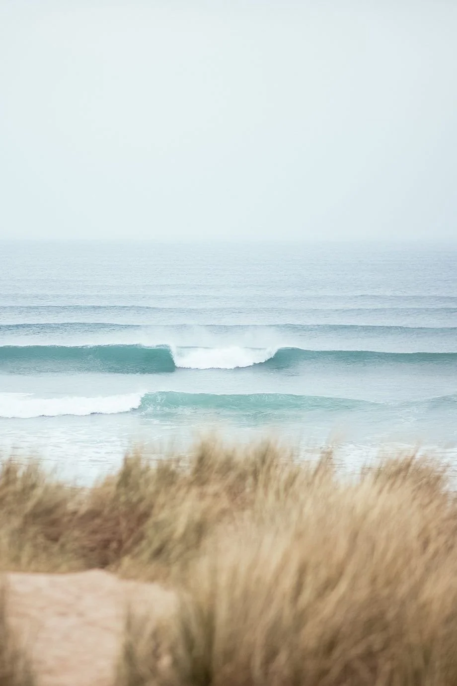 ocean waves seen from sandy dunes with grasses