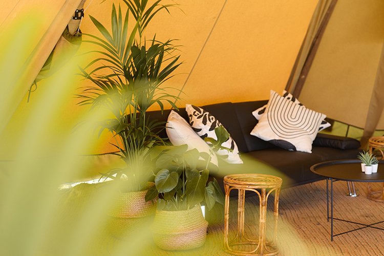 reception-area-at-glastonbury.jpg
