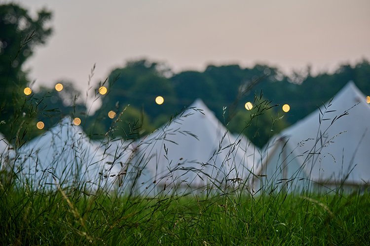 Tents at glamping festival artistically shot behind glades of grass in the foreground