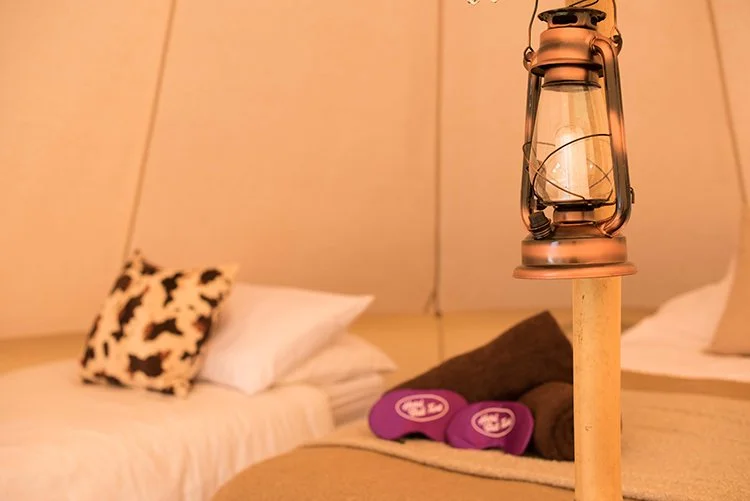Luxury glamping tent with a hanging lantern, beige and white bedding, purple pillows, and soft rolled towels for a boutique camping stay.