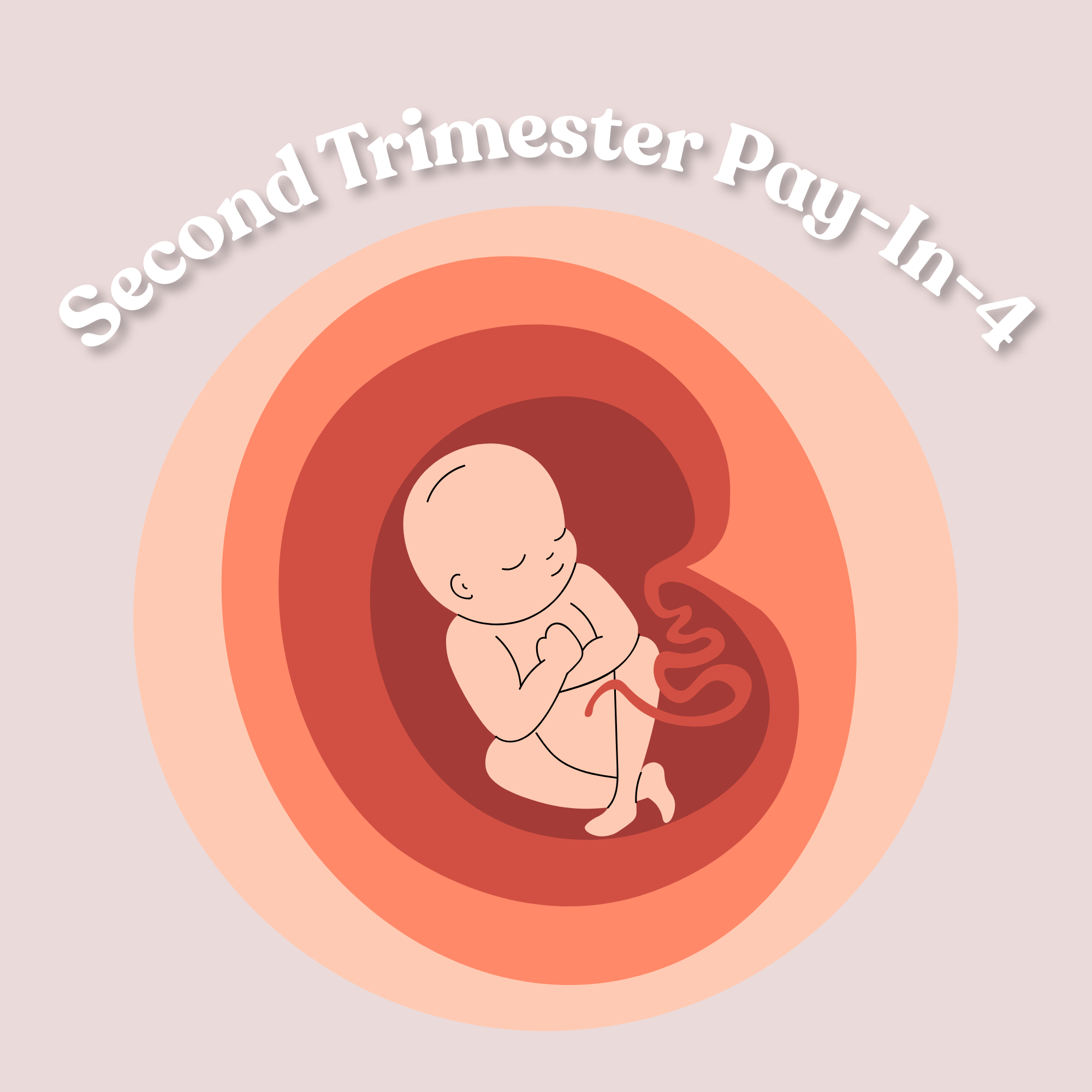 Second Trimester (Pay in 4)