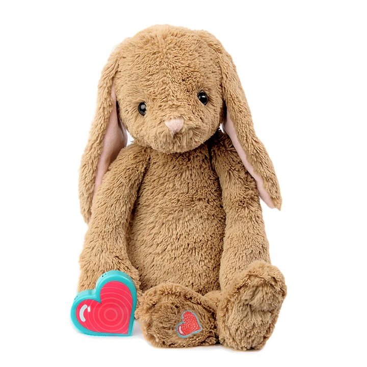 bunny.jpeg