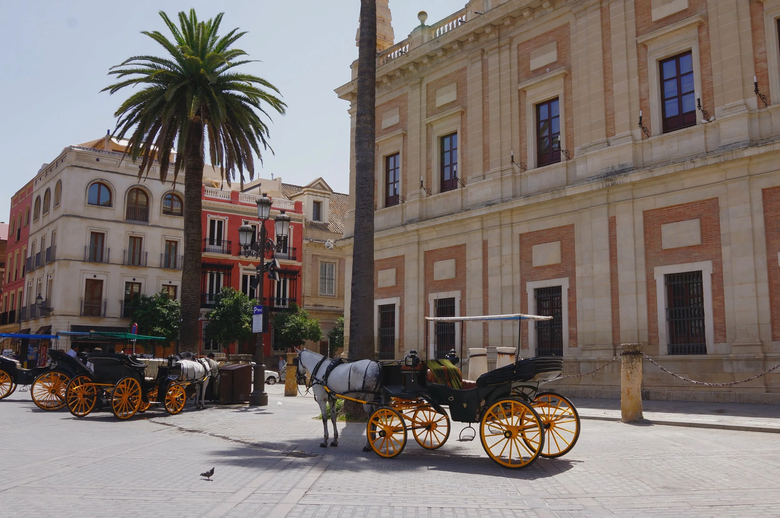 Horse-drawn carriages parked in a European plaza with palm trees and historical buildings in the background.