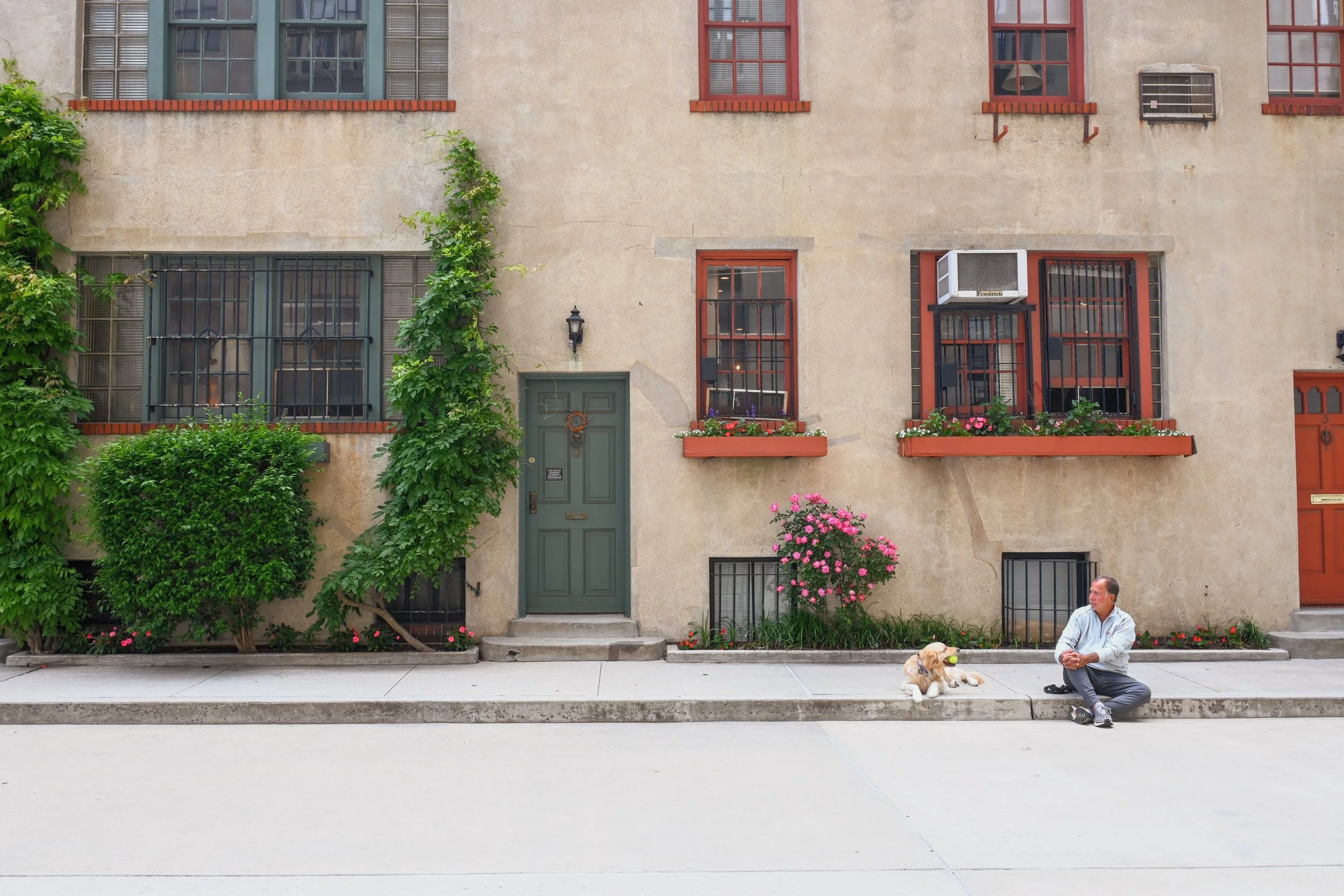 A man sitting on the sidewalk with his dog, in front of a beige apartment building with green and red accents, windows with garden boxes, and climbing plants.