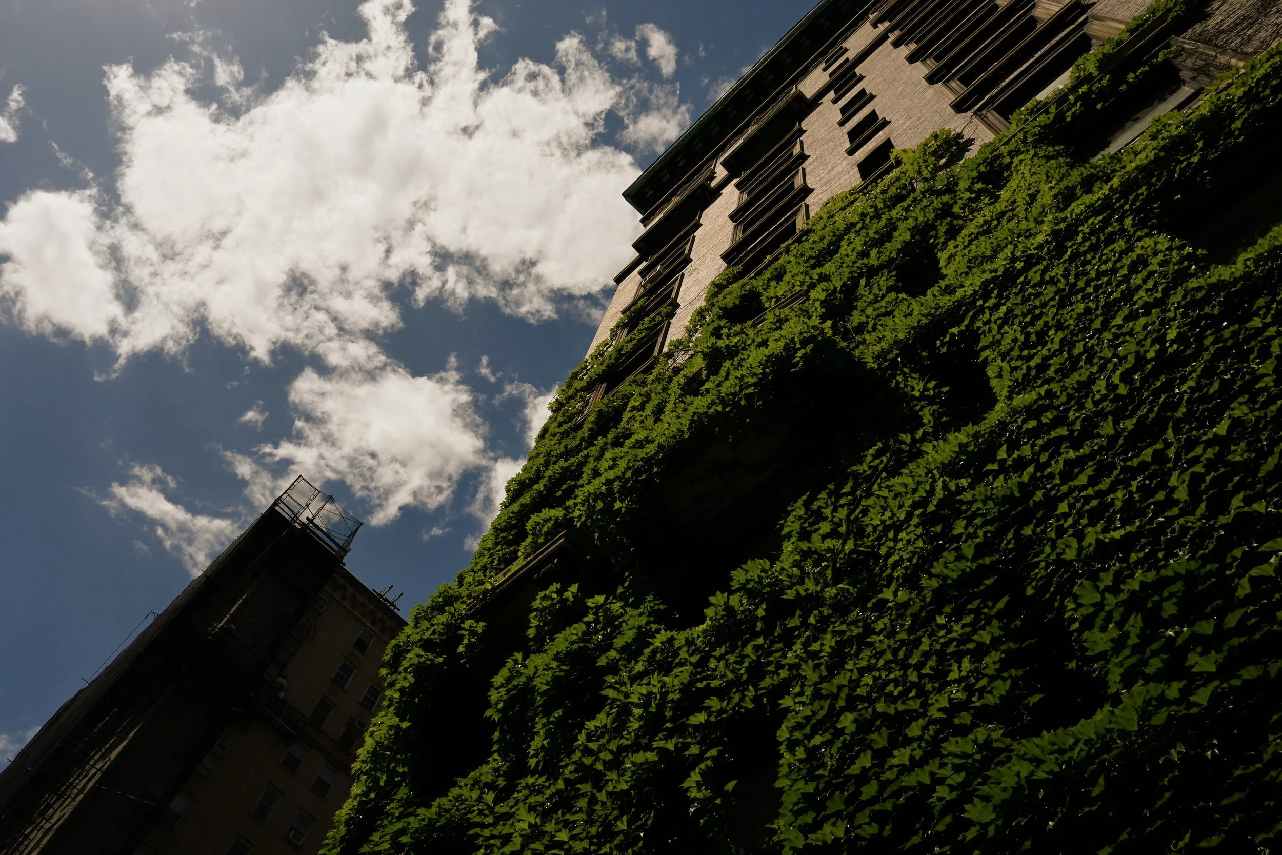 Photo taken by Christina Sarelakos of a building on the Upper West Side of Manhattan near Trinity School