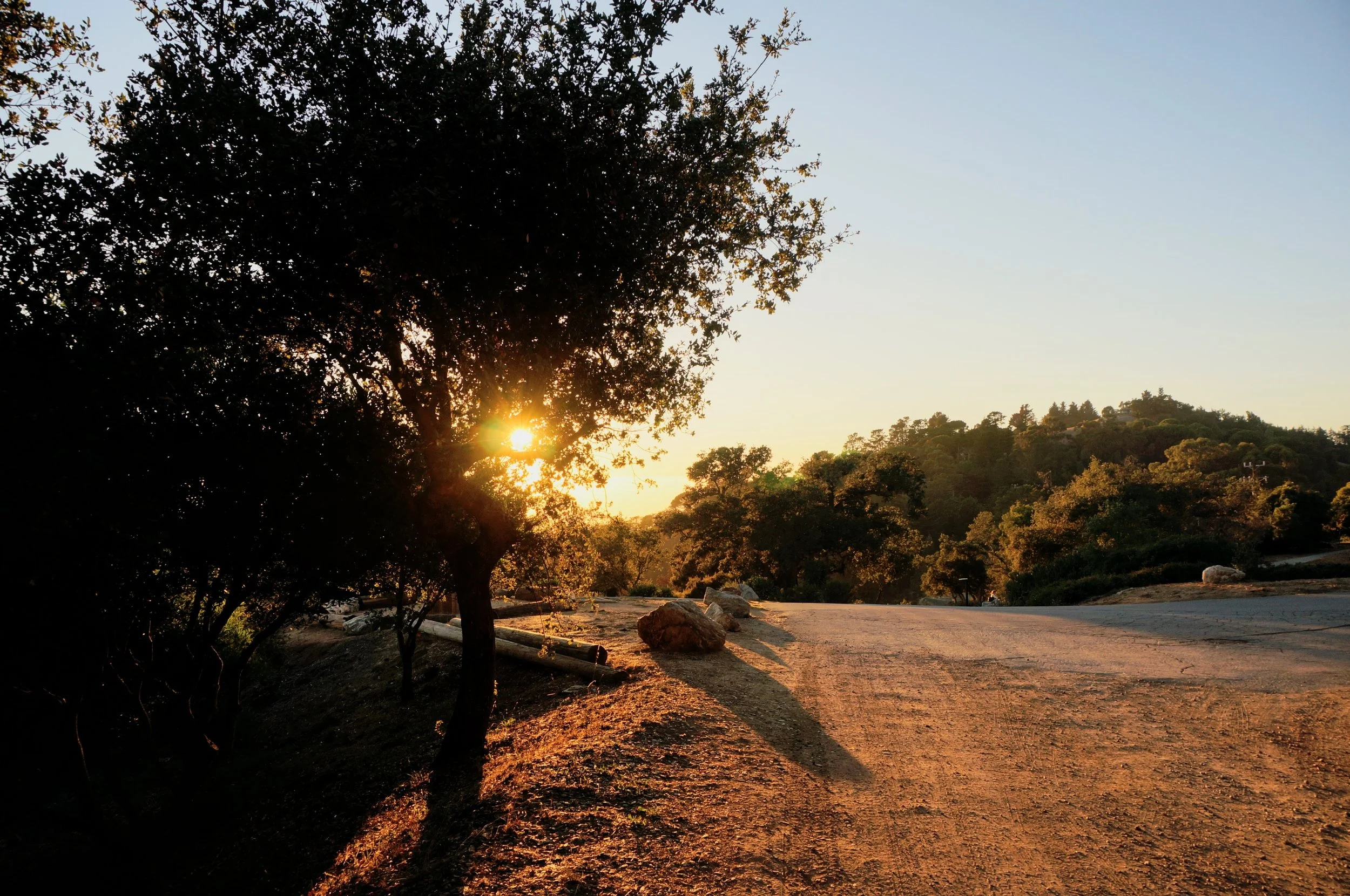 Sunlight filtering through trees on a dirt road during sunset, creating shadows and a warm atmosphere.