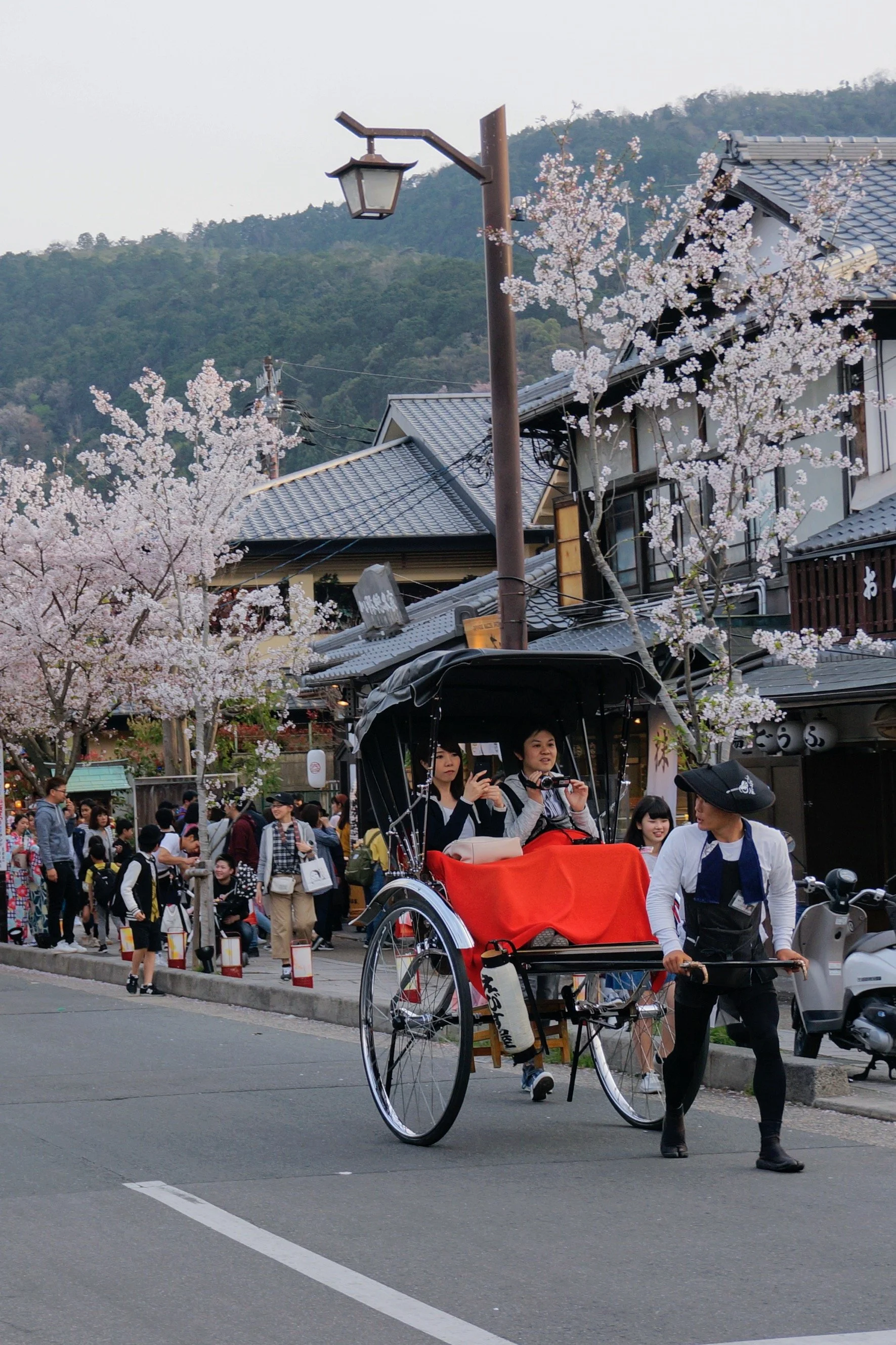 A man pulling a traditional Japanese rickshaw with two passengers down a street lined with cherry blossom trees and shops, against a backdrop of mountains and tiled roofs.