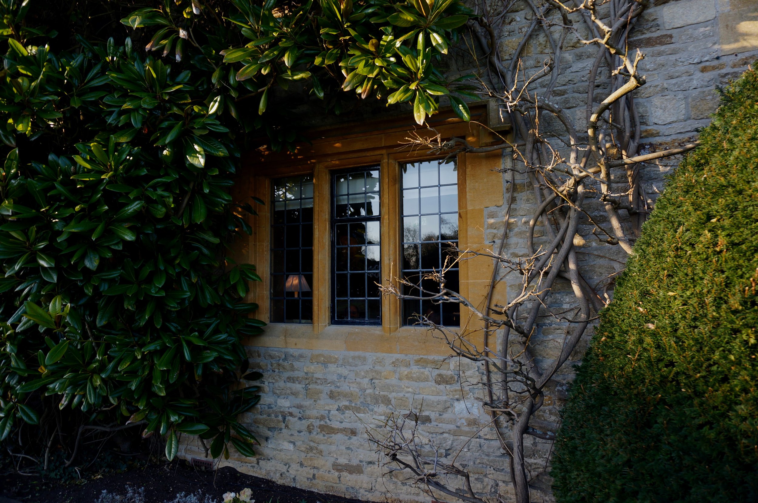 Historic stone wall with a window, surrounded by green foliage and bare vines.