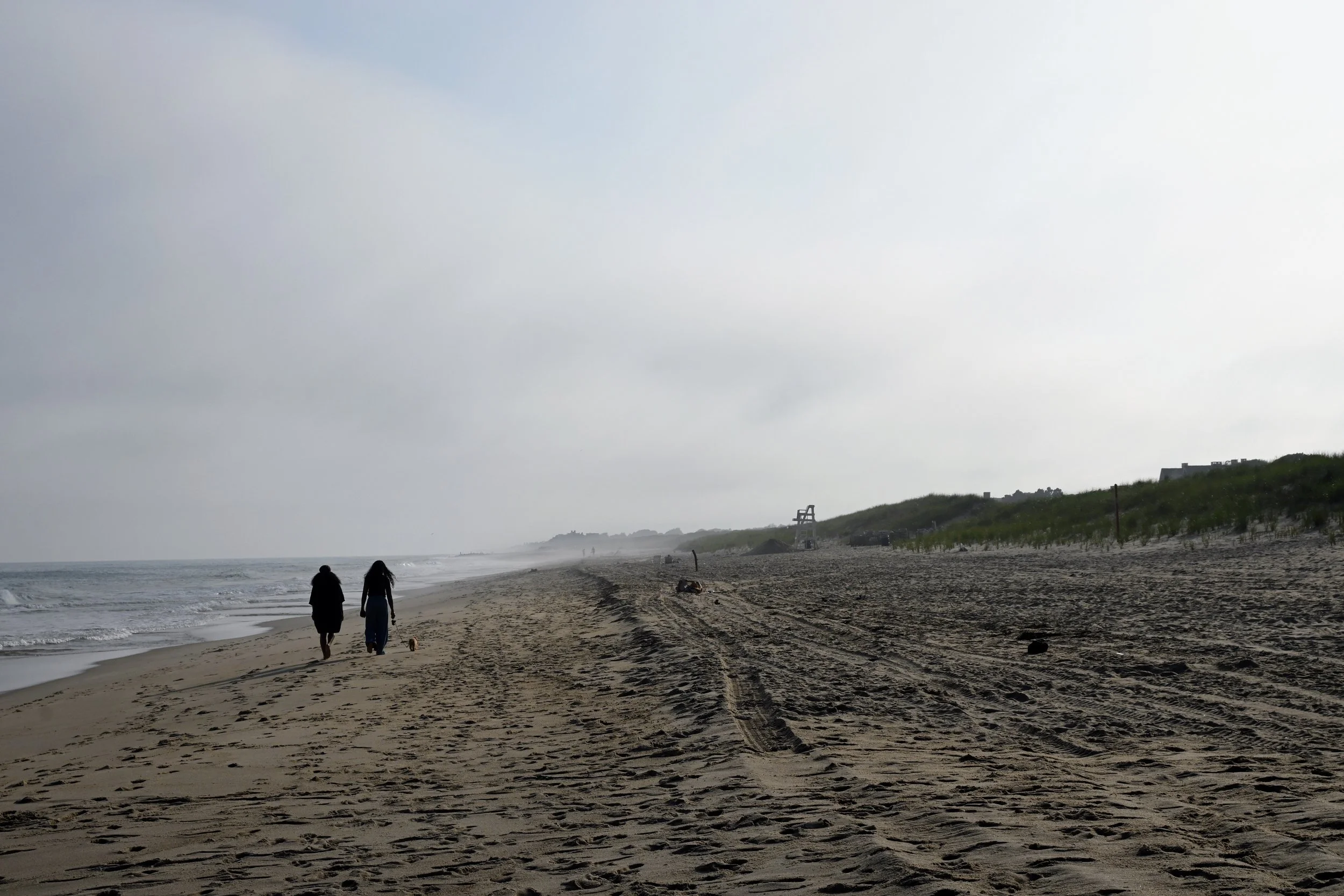 Two people walking side by side on an empty beach under a cloudy sky with a dog, with sand, ocean waves, and some distant dunes and structures in the background.