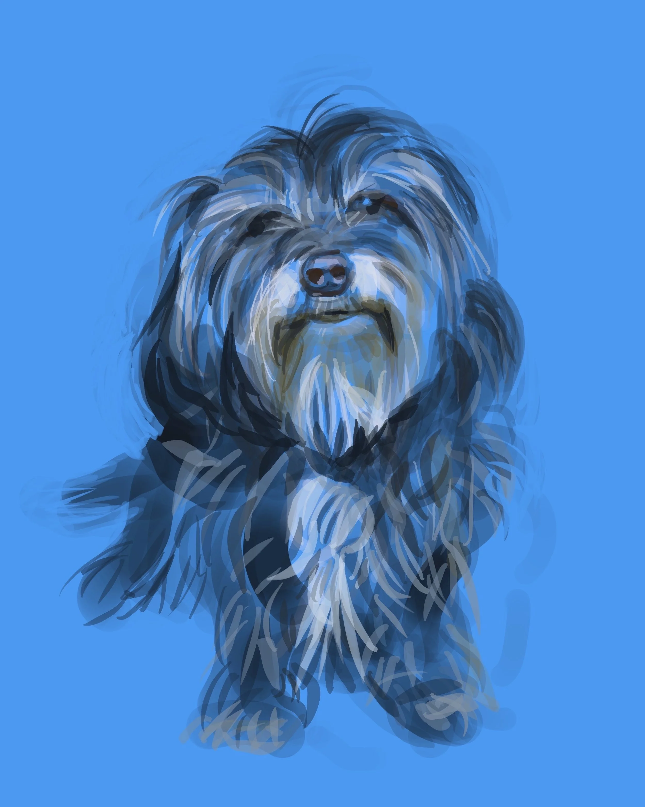Milo, Digital Drawing, 2022