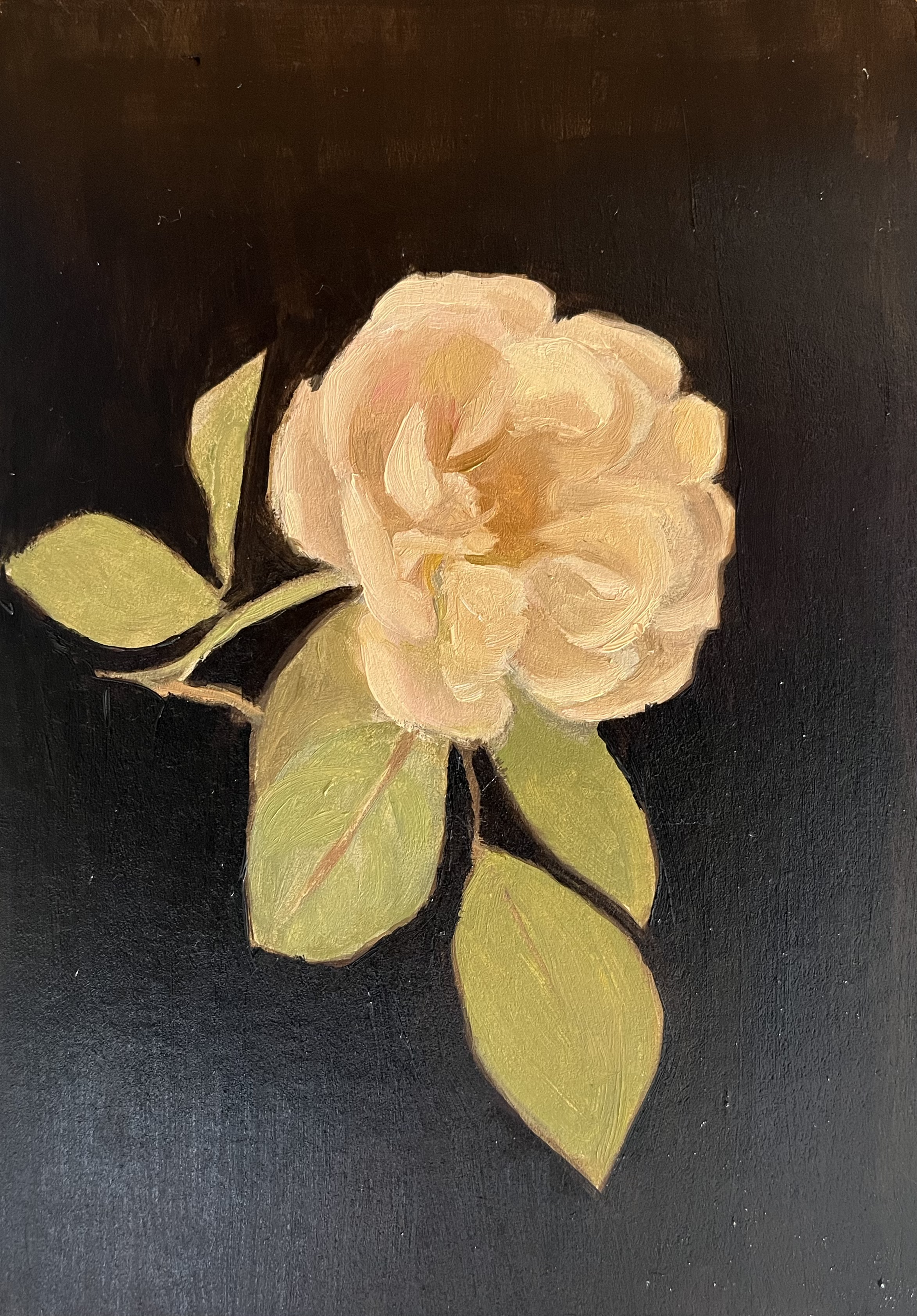 Rose II, Oil on Panel, 2024