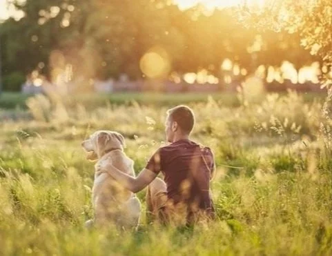 Person and dog sitting together in a grassy field at sunset, reflecting companionship and calm.