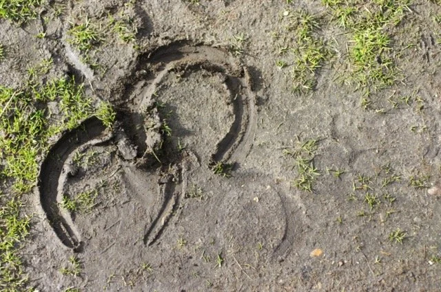 Horseshoe prints overlapping on the ground, reflecting the supportive alignment of therapist and client walking together through the healing process.