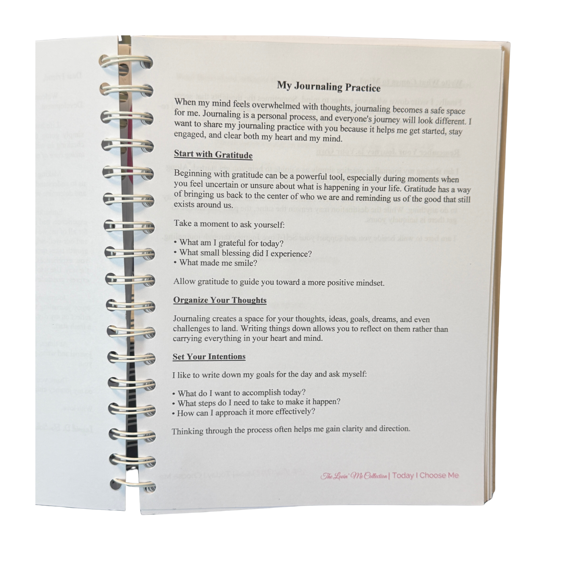 Journal Practice Insert Pic.png