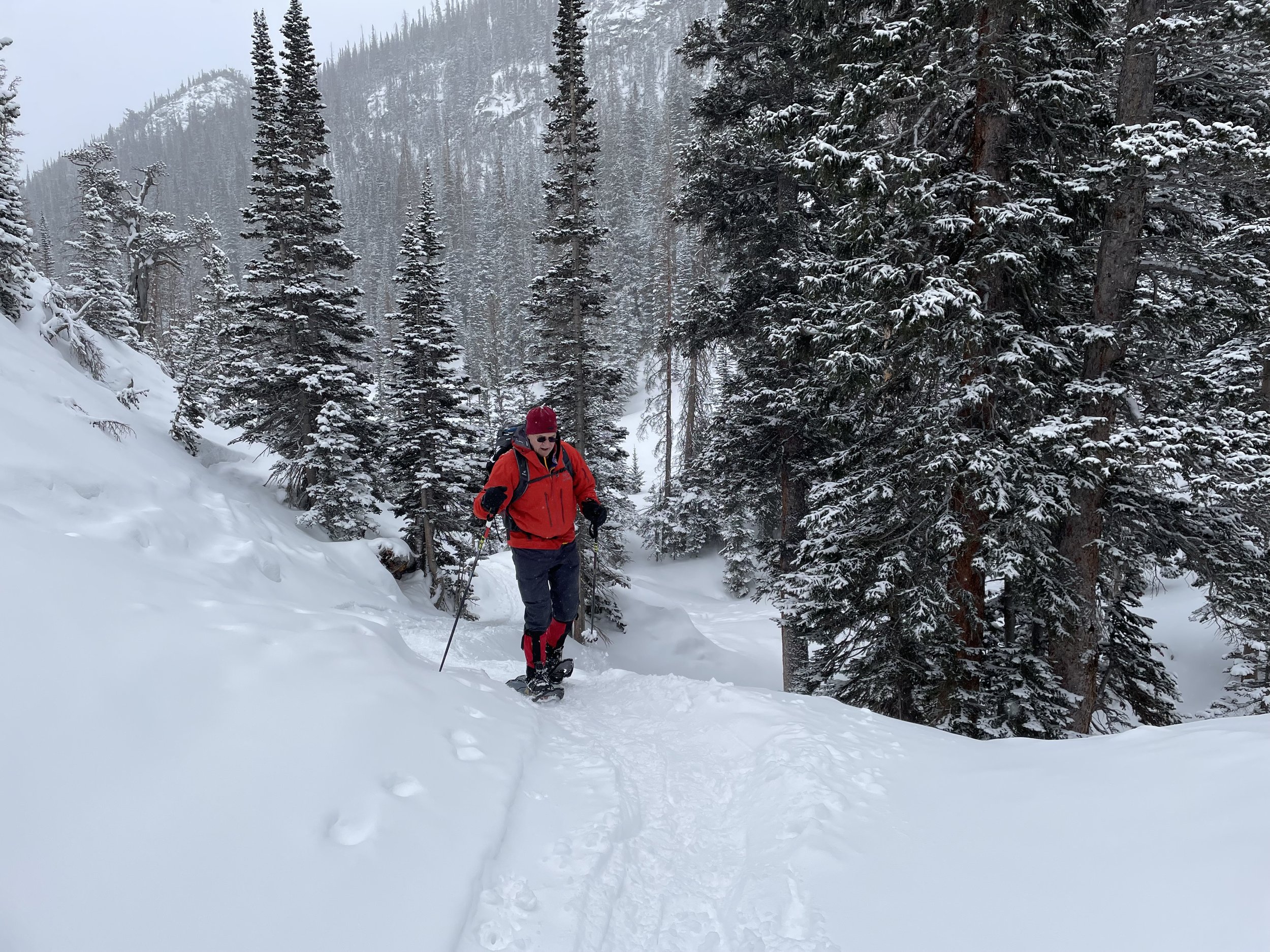 Dr. Thomas Leigh snowshoeing on a snowy trail in a winter forest landscape with evergreen trees.