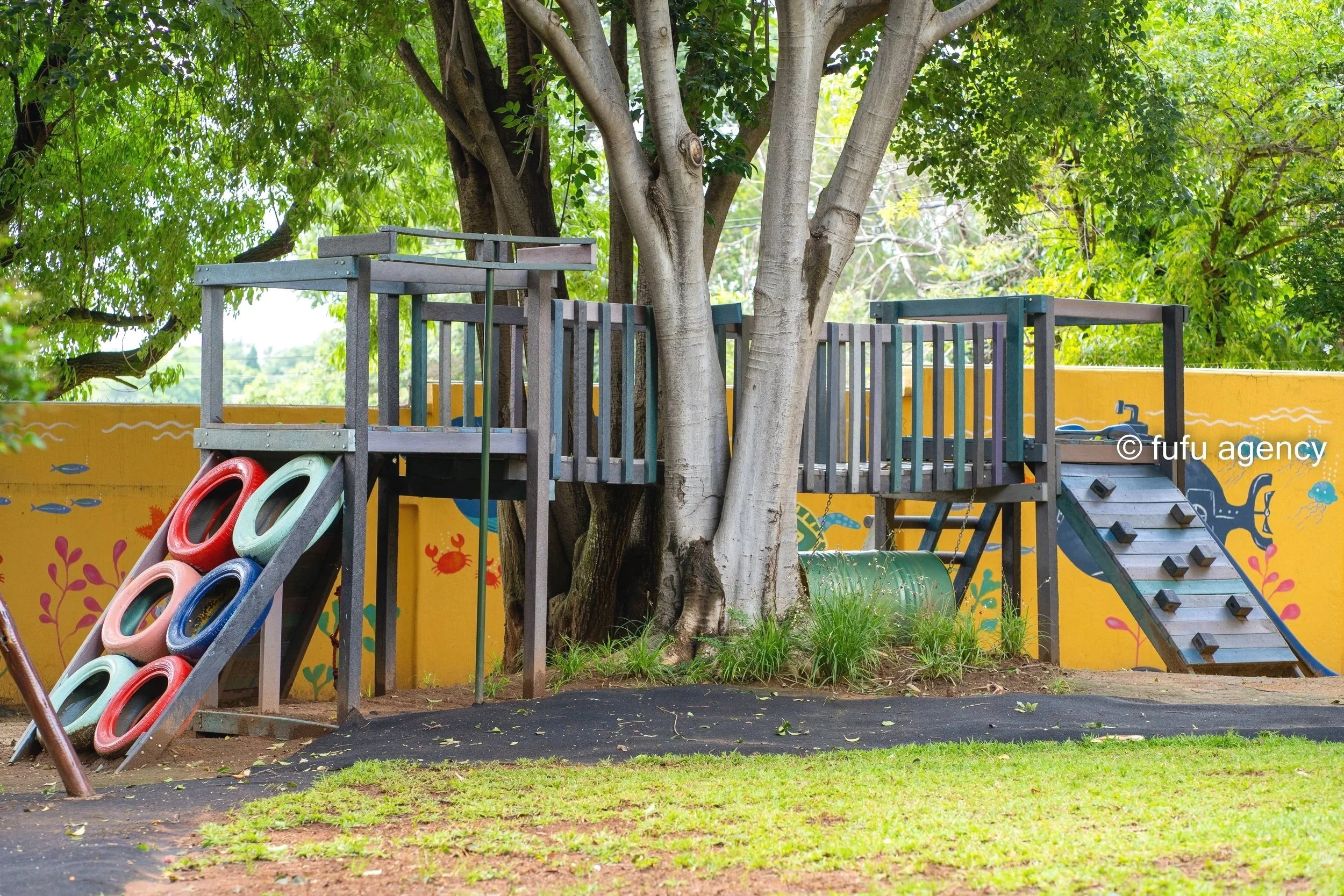 Preschoolers Jungle Gym