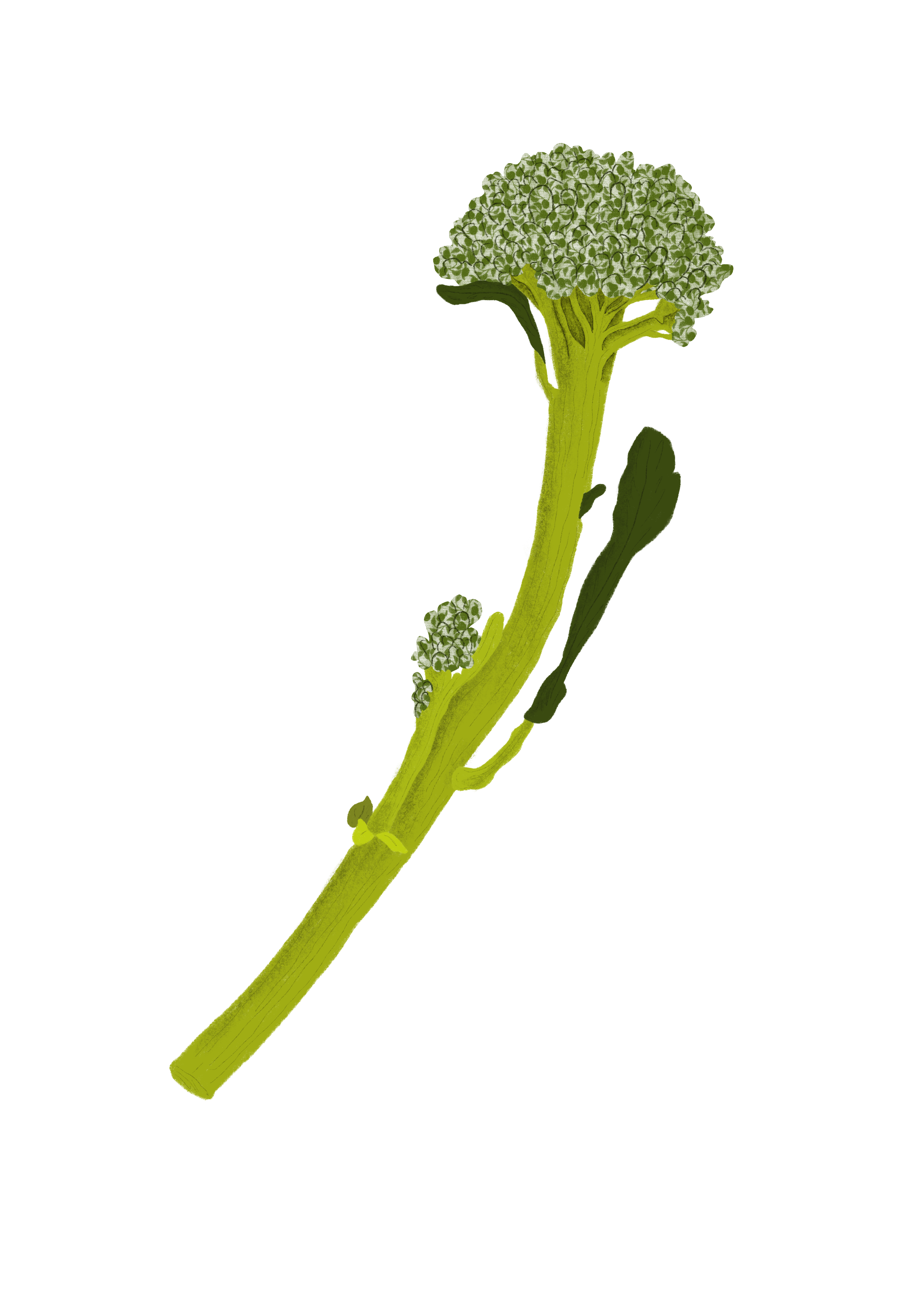 Untitled_Artwork 15.png