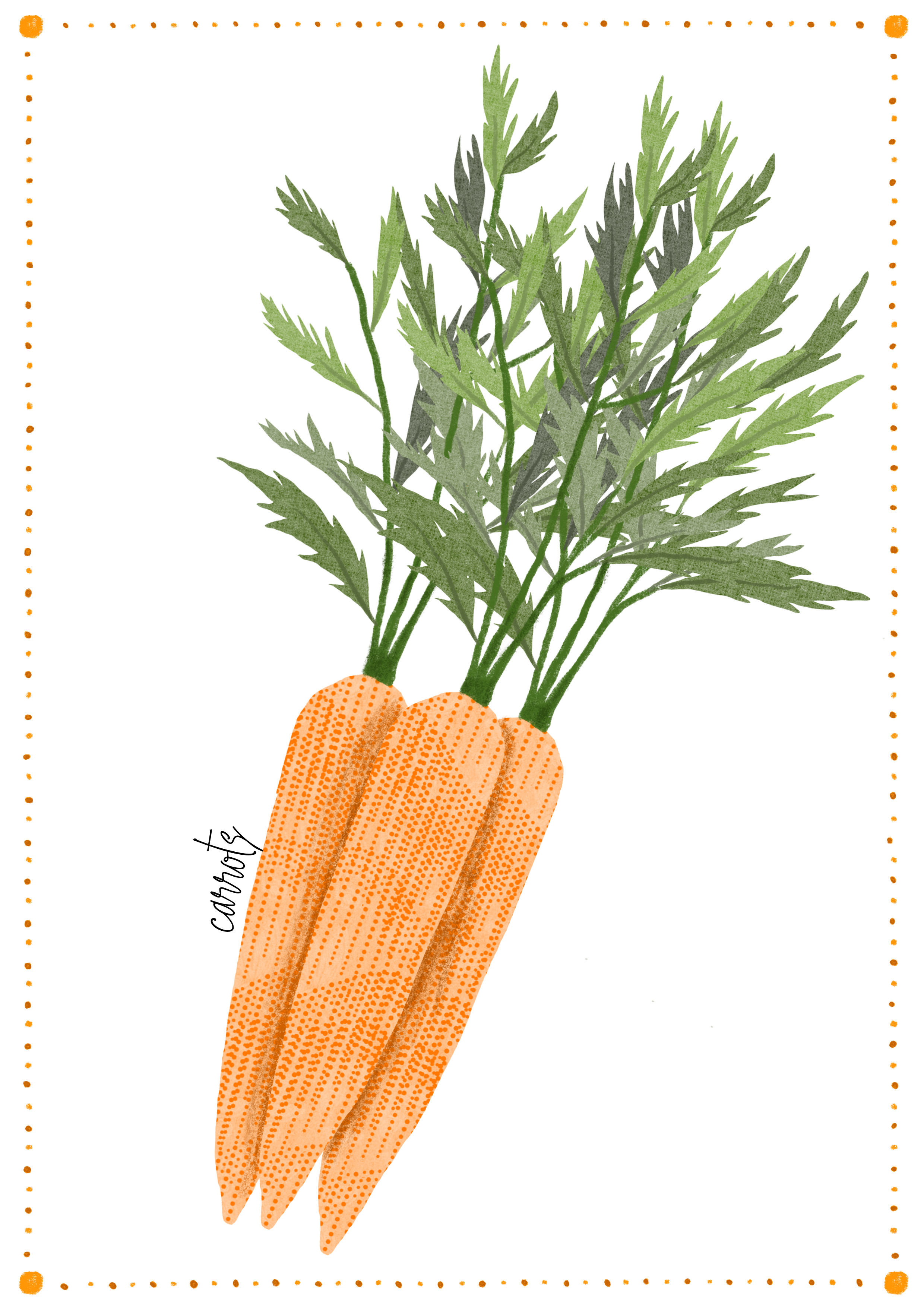 Untitled_Artwork 14.png