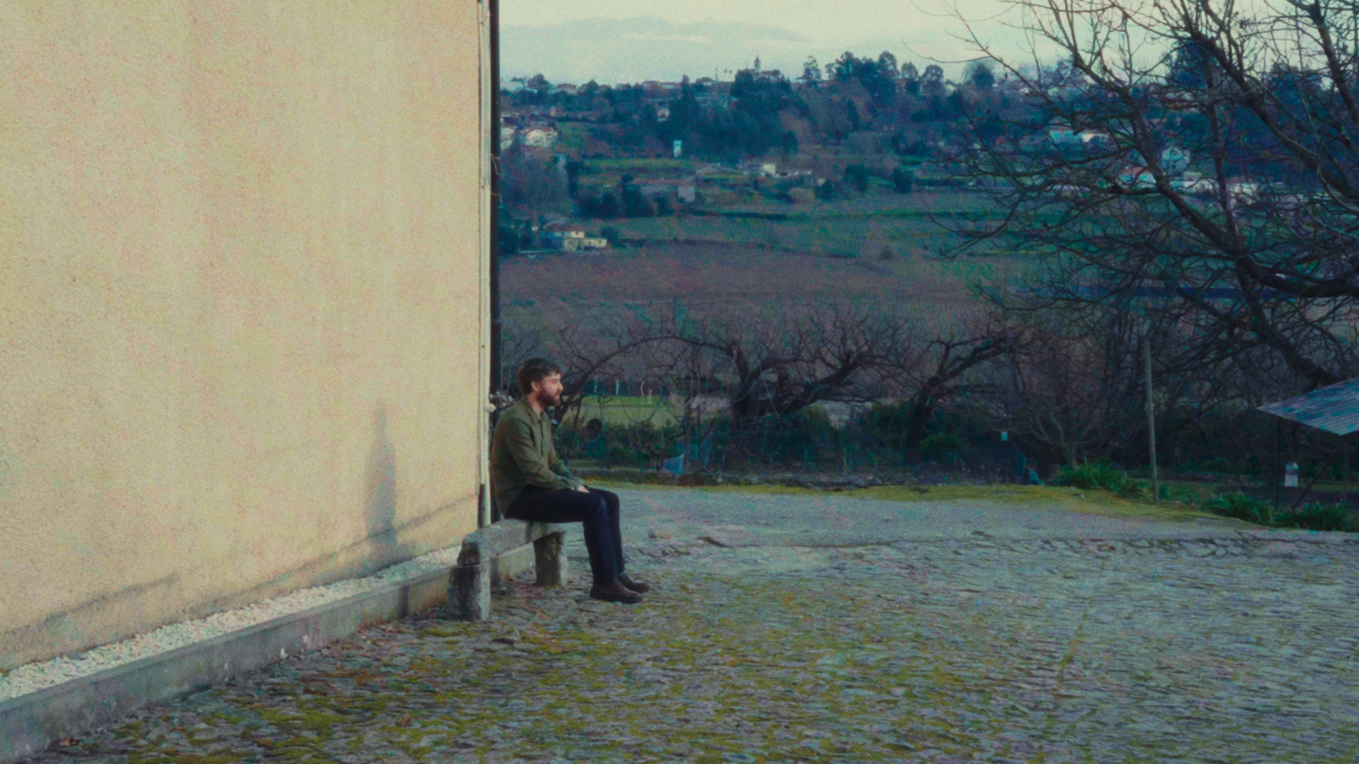 Still 2026-01-21 160637_1.45.1.png