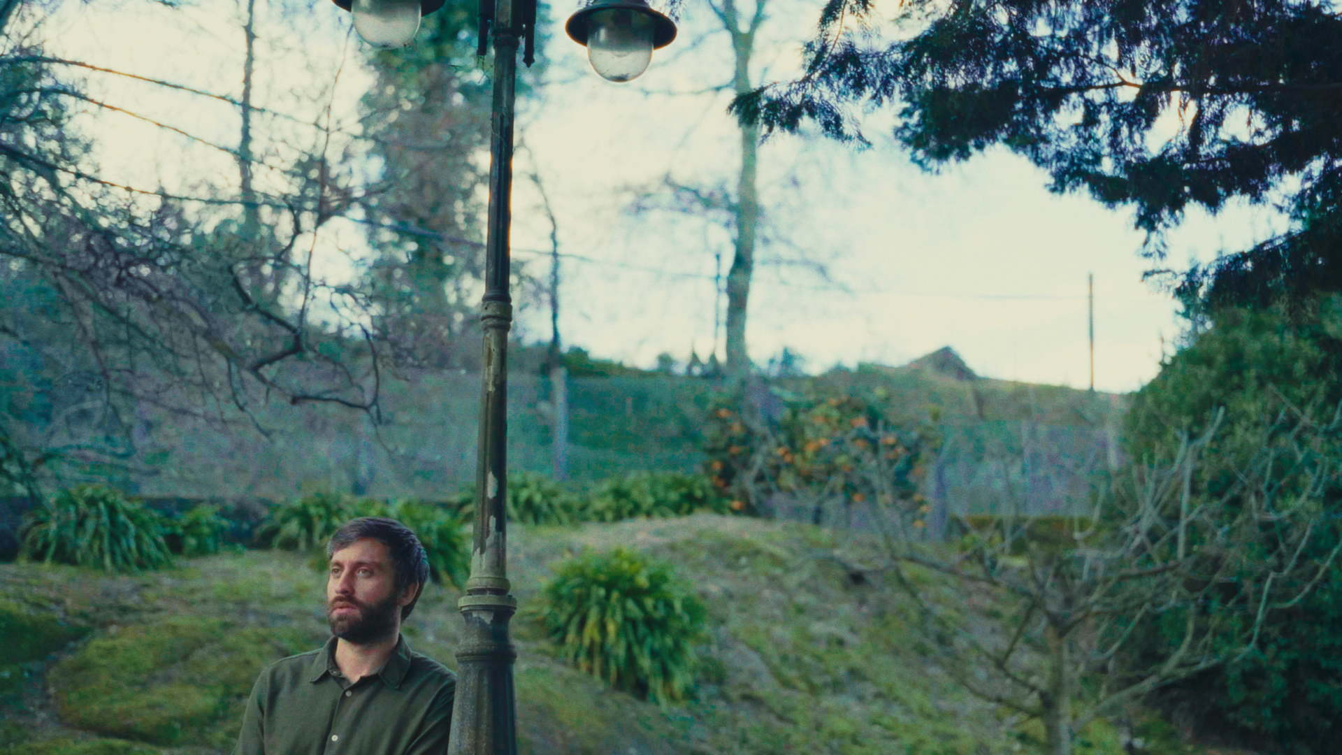 Still 2026-01-21 160637_1.58.1.png