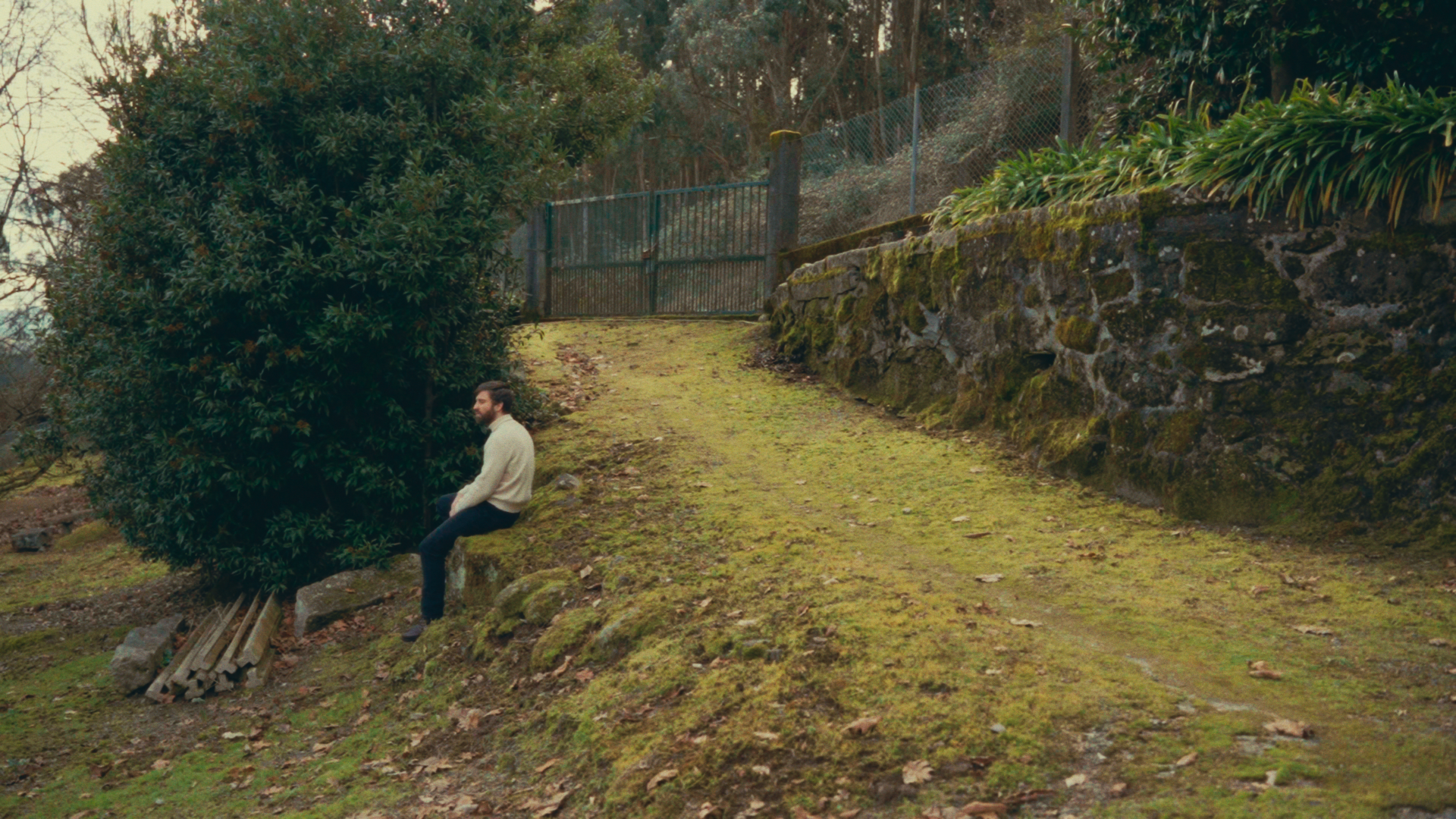 Still 2026-01-21 160637_1.5.1.png