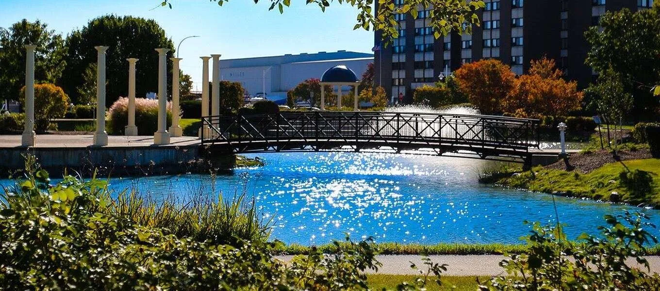 Scenic park with a small footbridge over a pond, surrounded by trees, bushes, and a cityscape background.