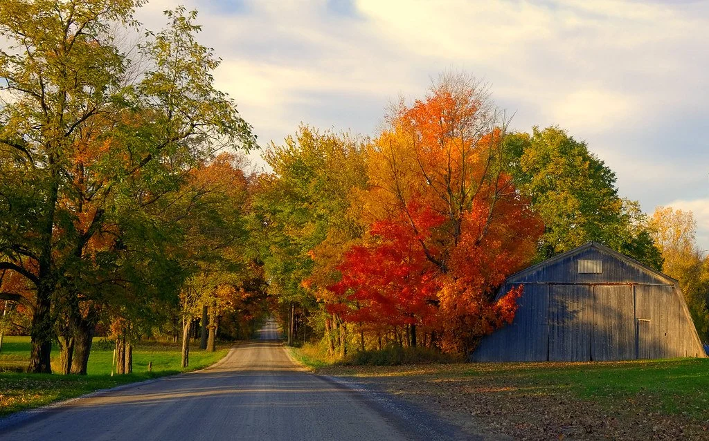 A rural road surrounded by colorful fall trees and a blue barn.