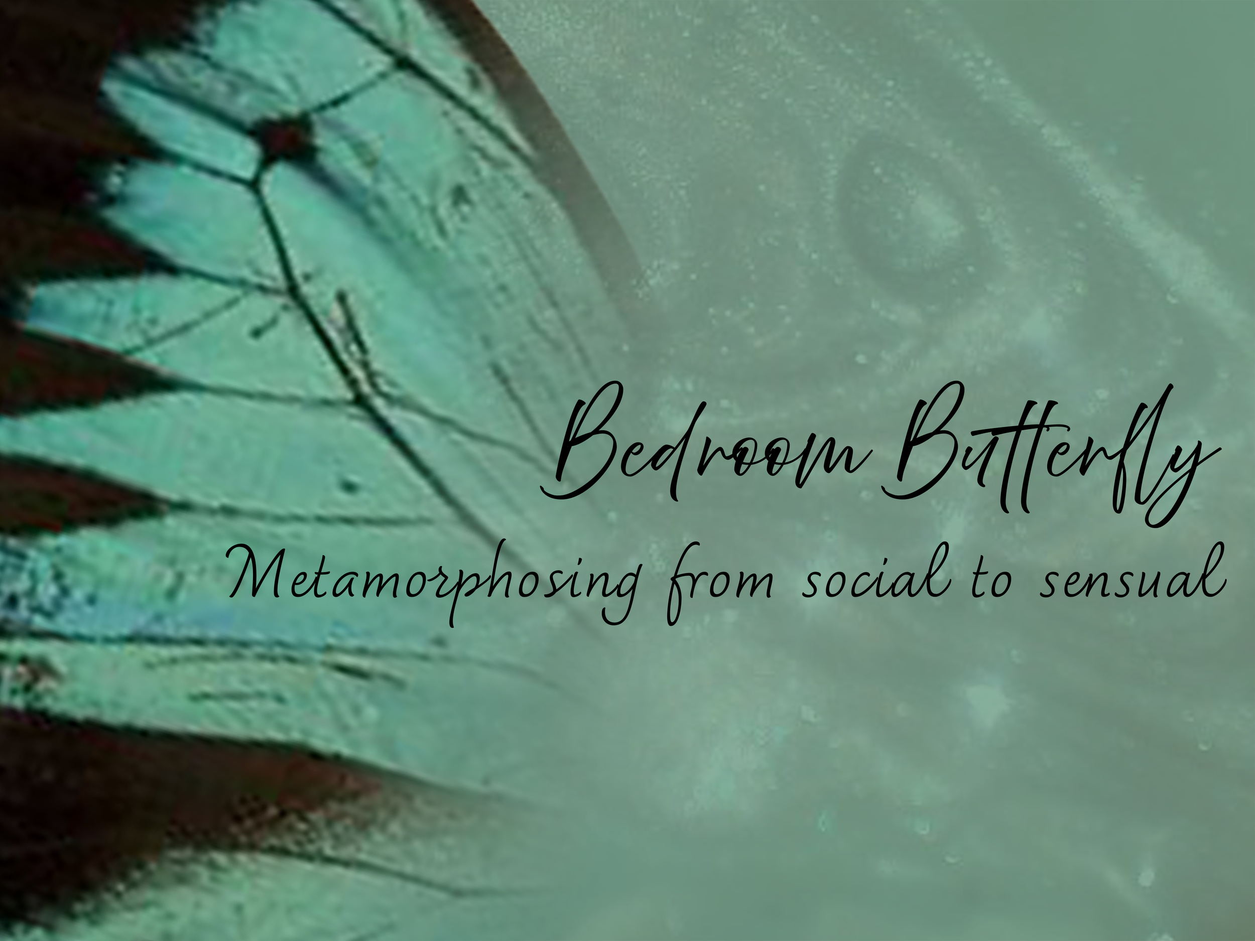Bedroom Butterfly - FSF 2025 submission