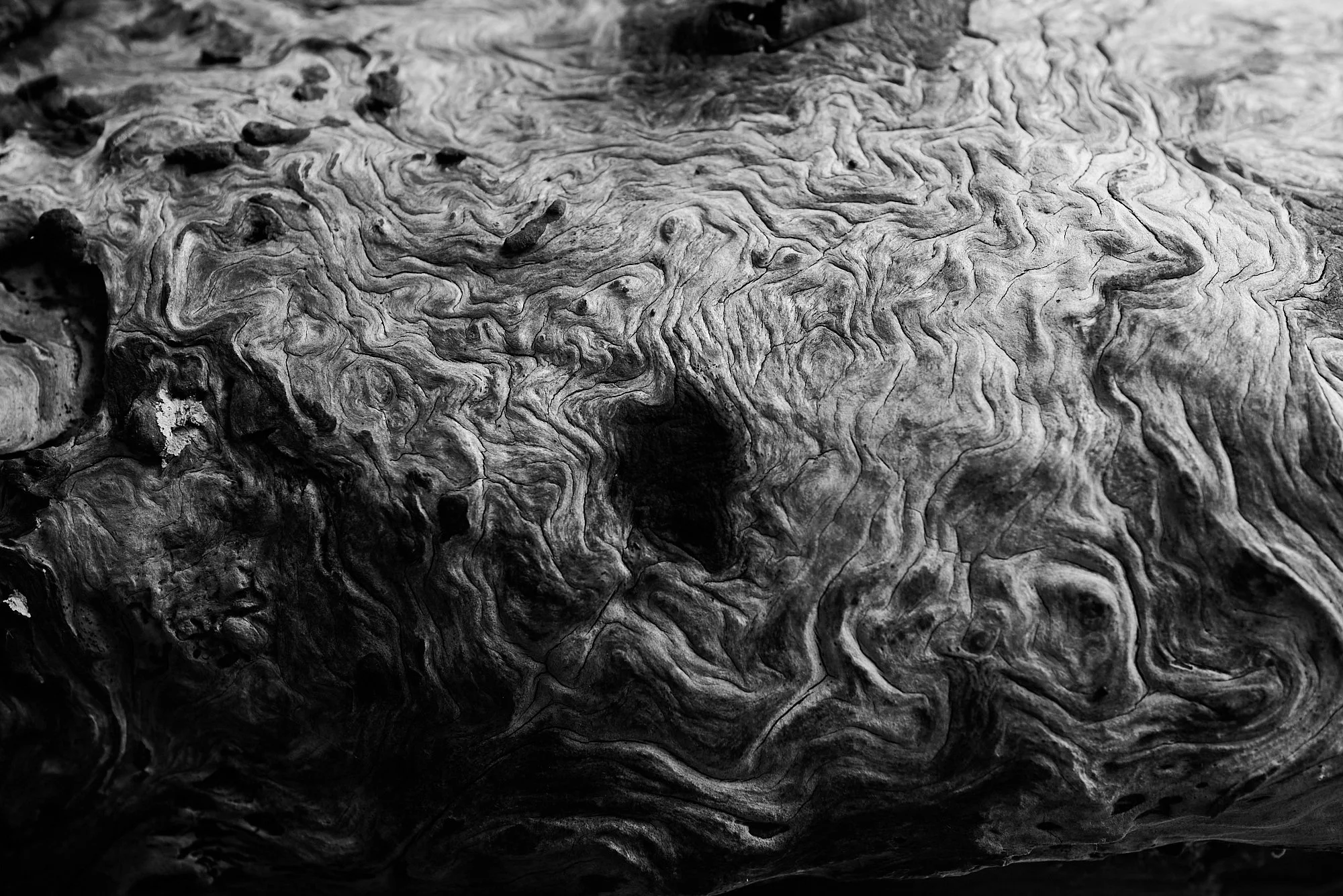 Parasitic Black Hole