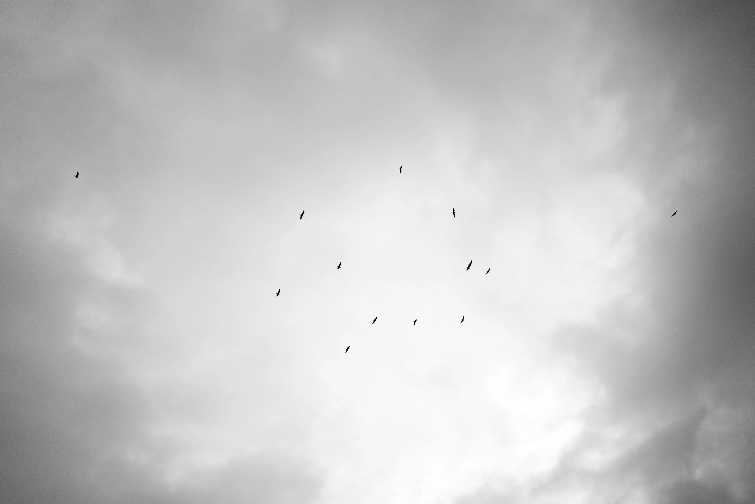 20251029-L1011237.jpg