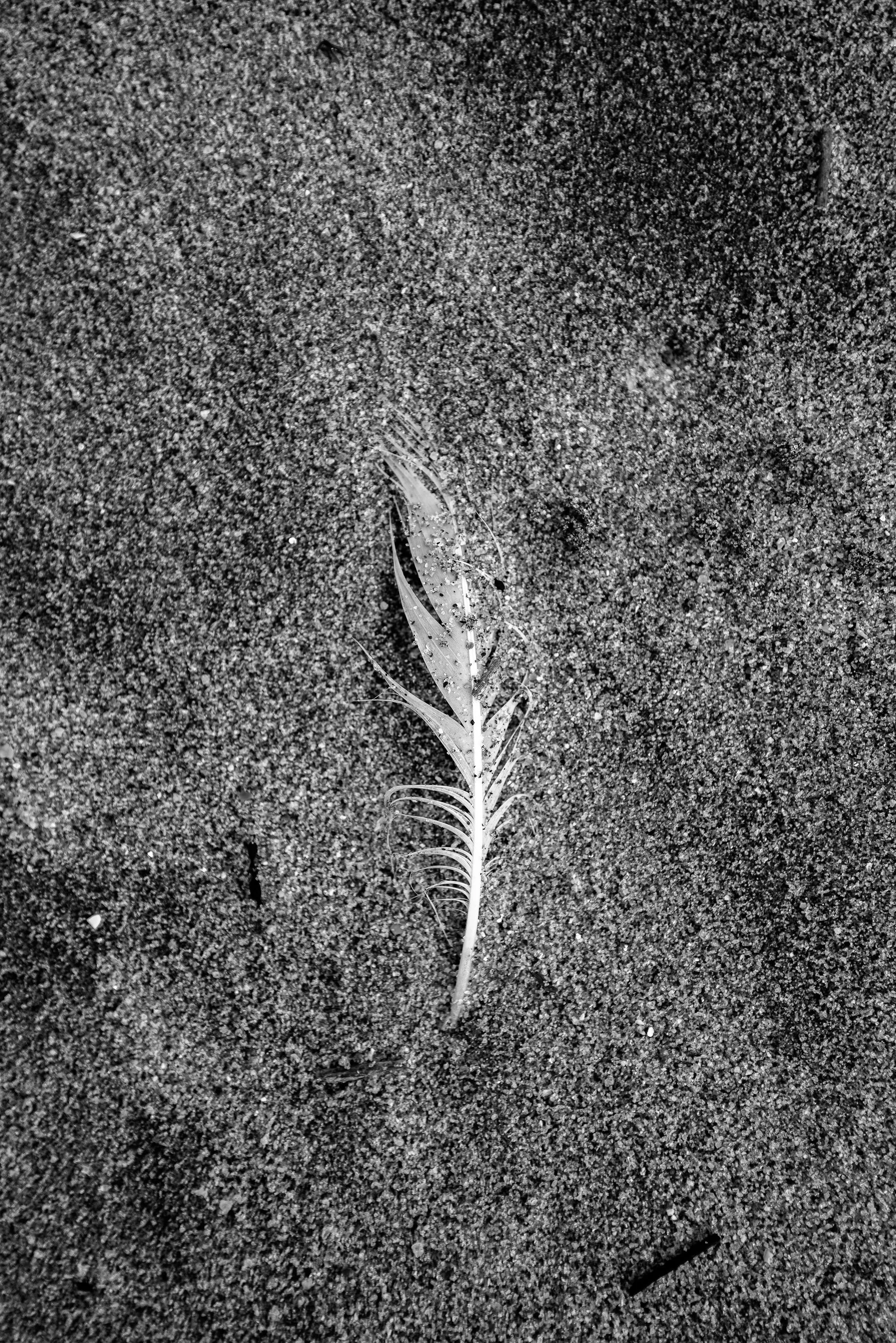 20251031-L1011794-Edit.jpg