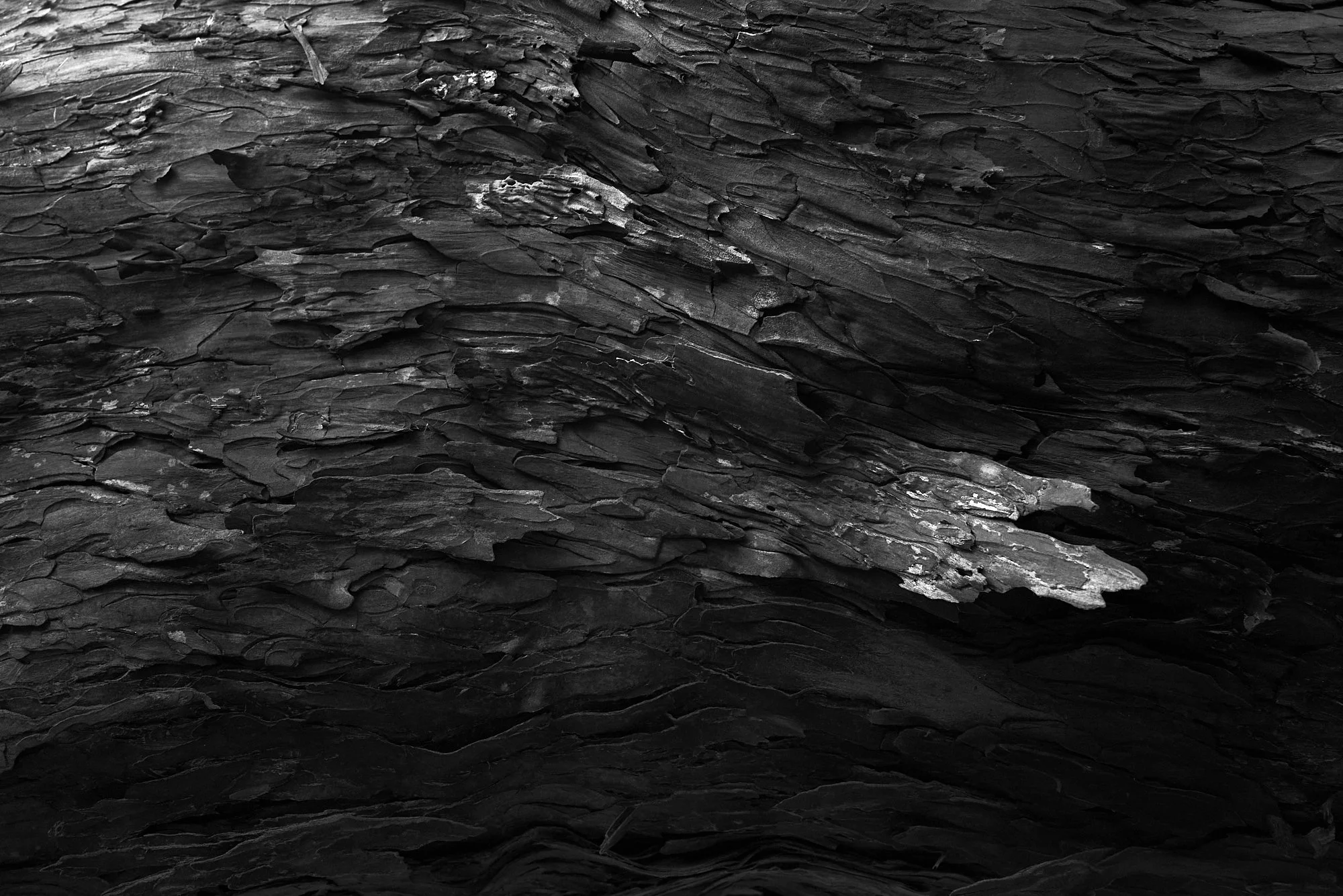 Cresting Wave 