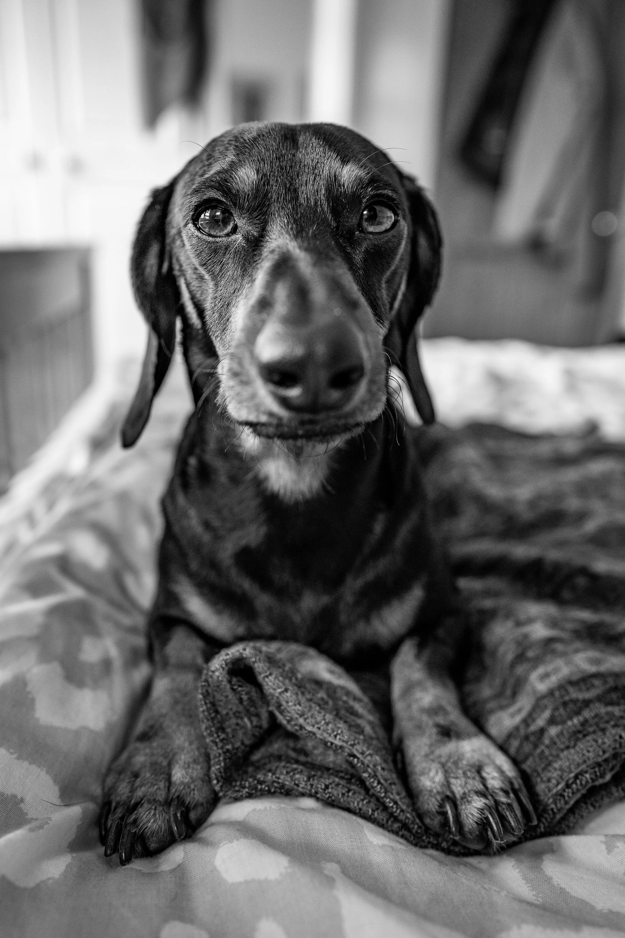 20201120-DSC02157.jpg