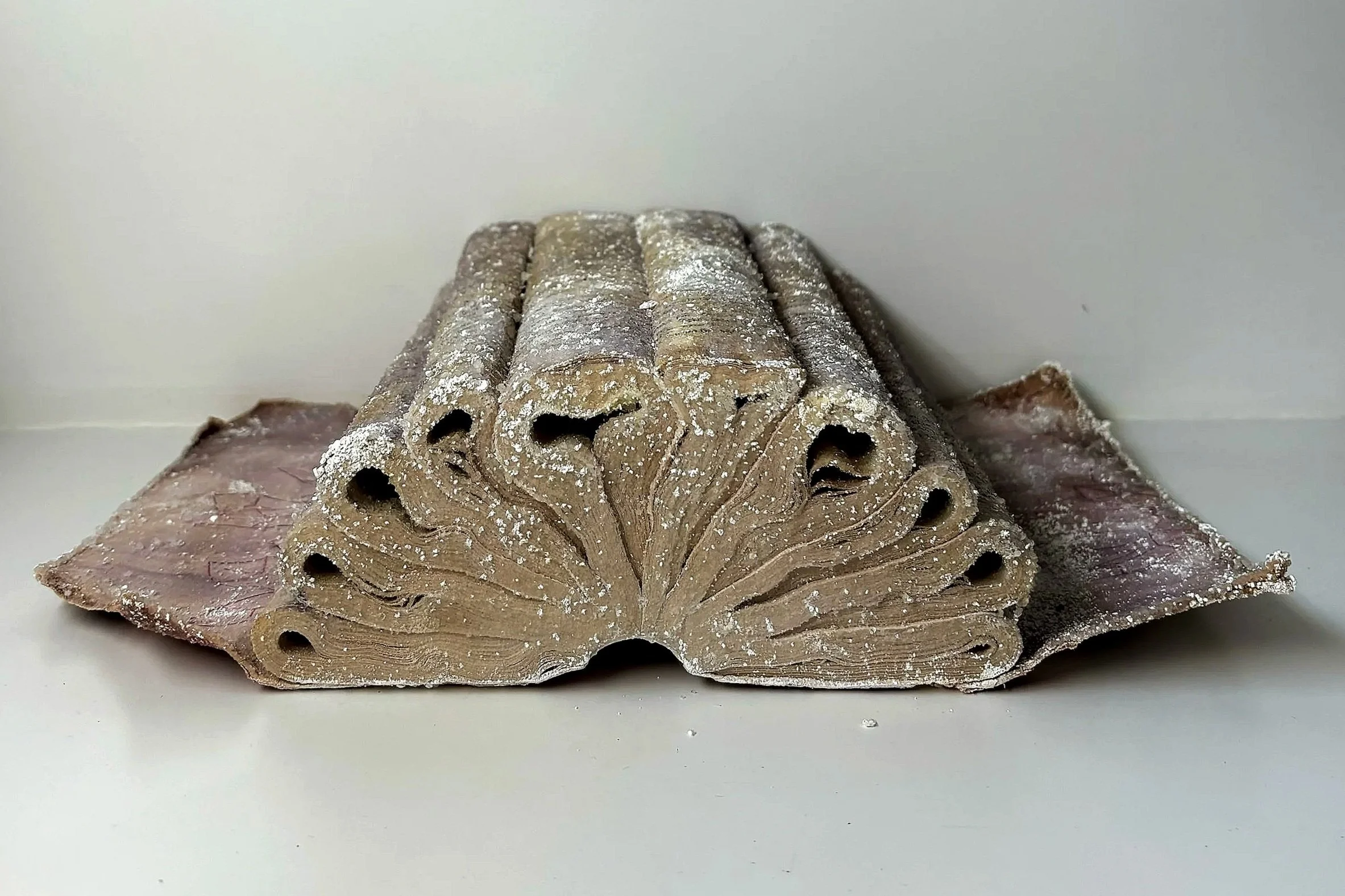 Eva Engel, Crystalized Literature, dye, borax & hot water, 14"x 10", 2023