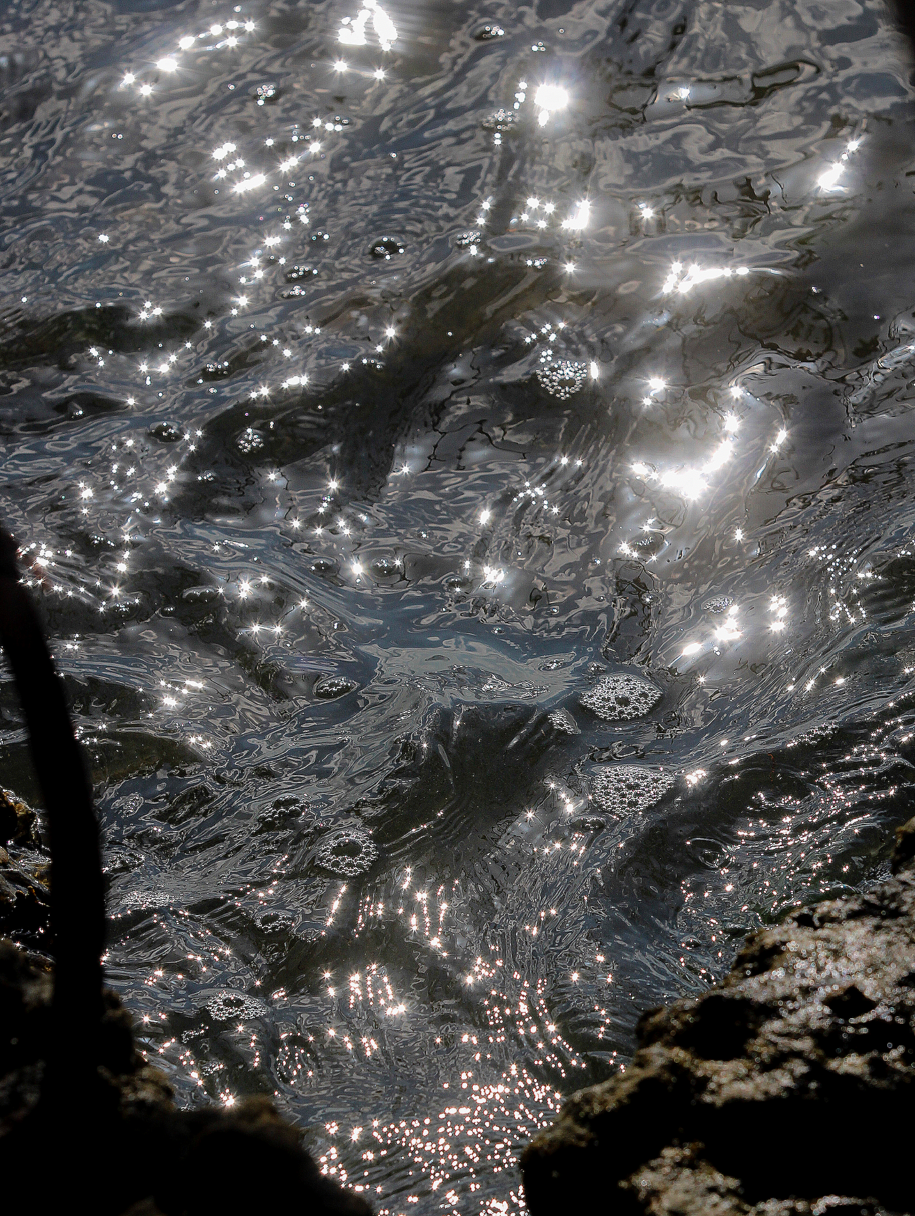 Eva Engel, Admiring Light Dance #1,  Canon EOS Rebel T7, 2026