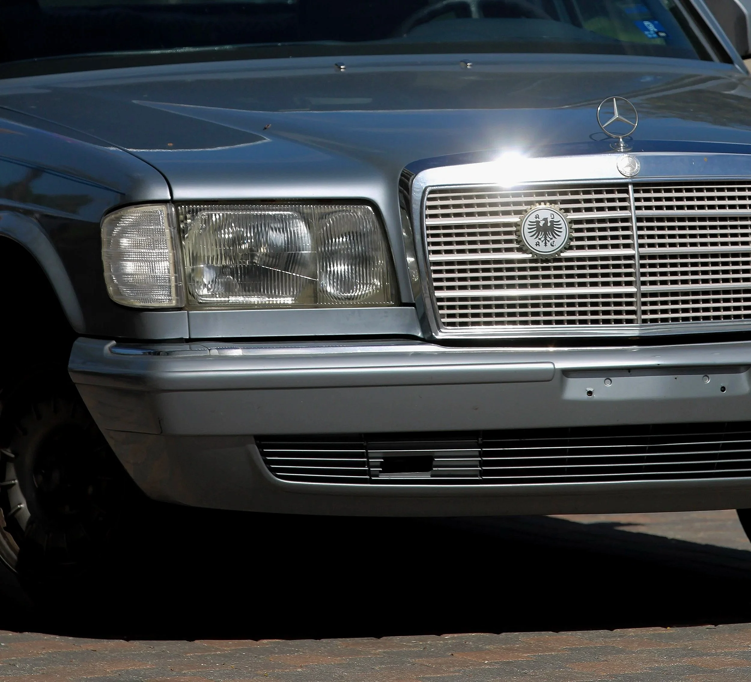 Eva Engel, Admiring Light Dance #4,  Canon EOS Rebel T7, 2026