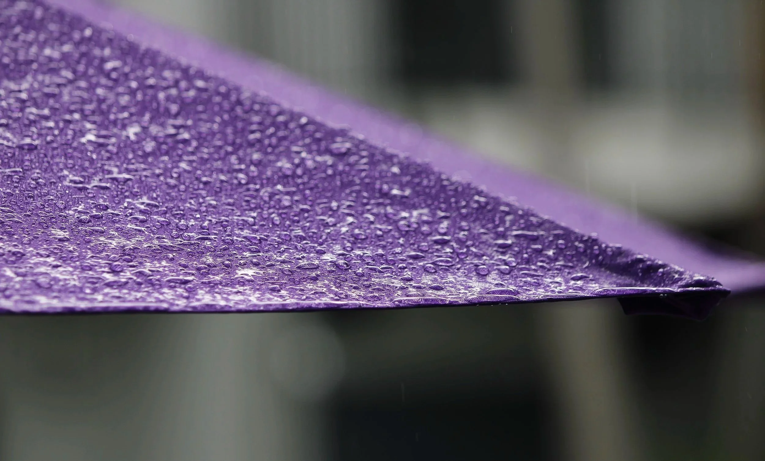 Eva Engel, Admiring Light Dance #8,  Canon EOS Rebel T7, 2026