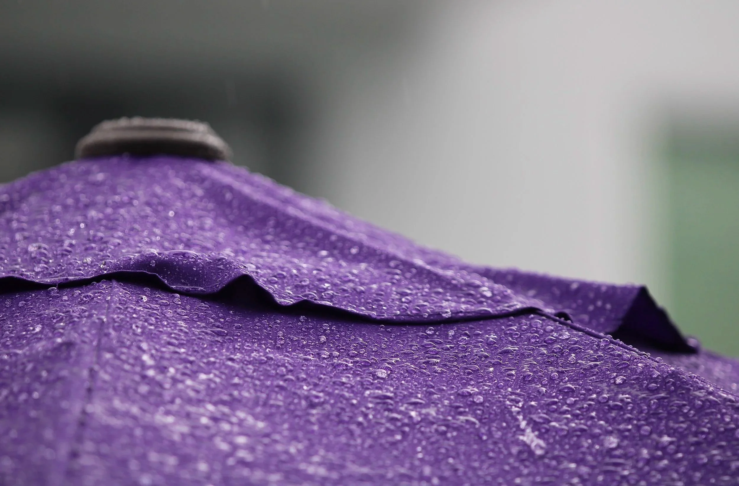 Eva Engel, Admiring Light Dance #9,  Canon EOS Rebel T7, 2026