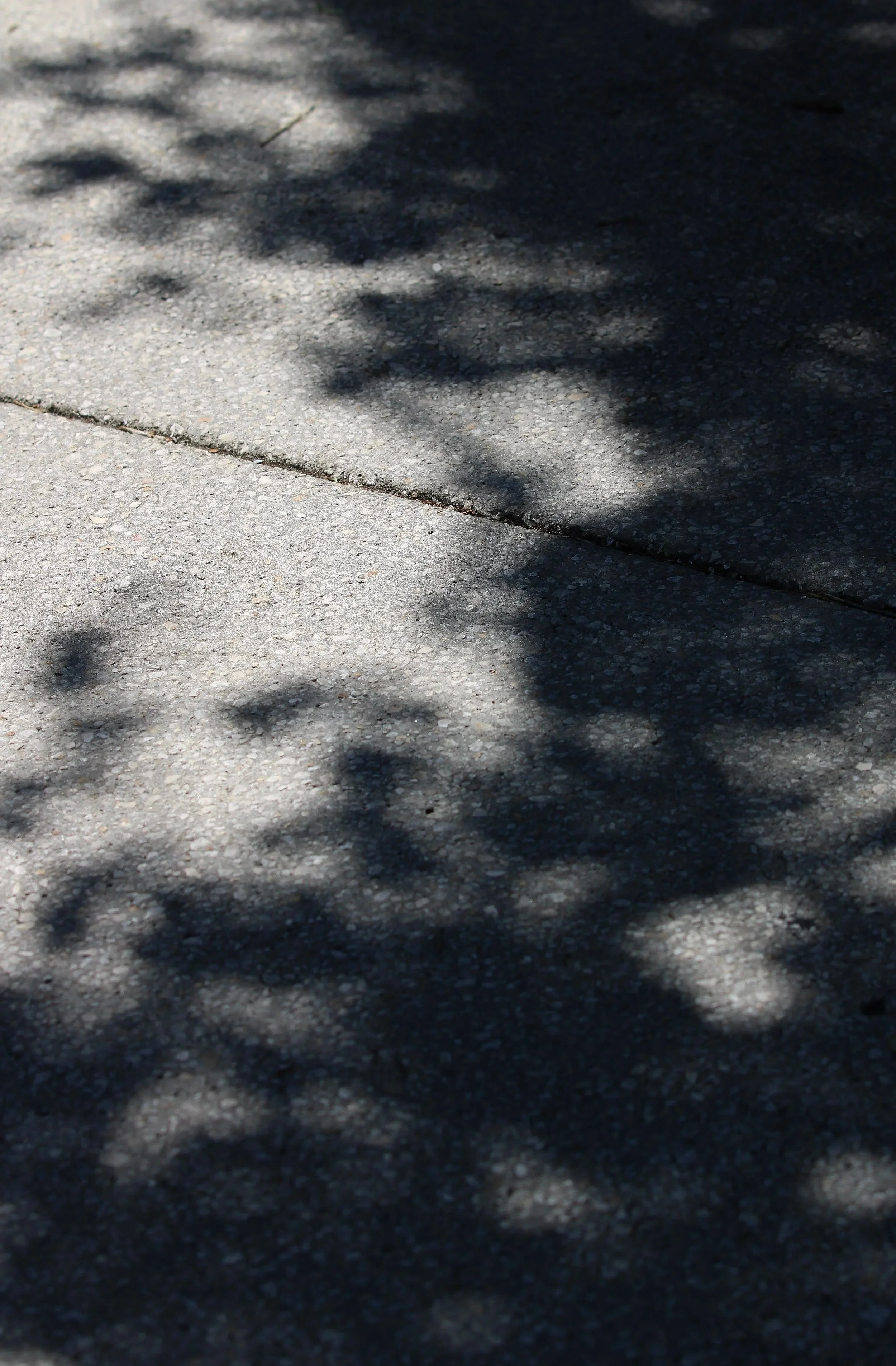 Eva Engel, Admiring Light Dance #11,  Canon EOS Rebel T7, 2026