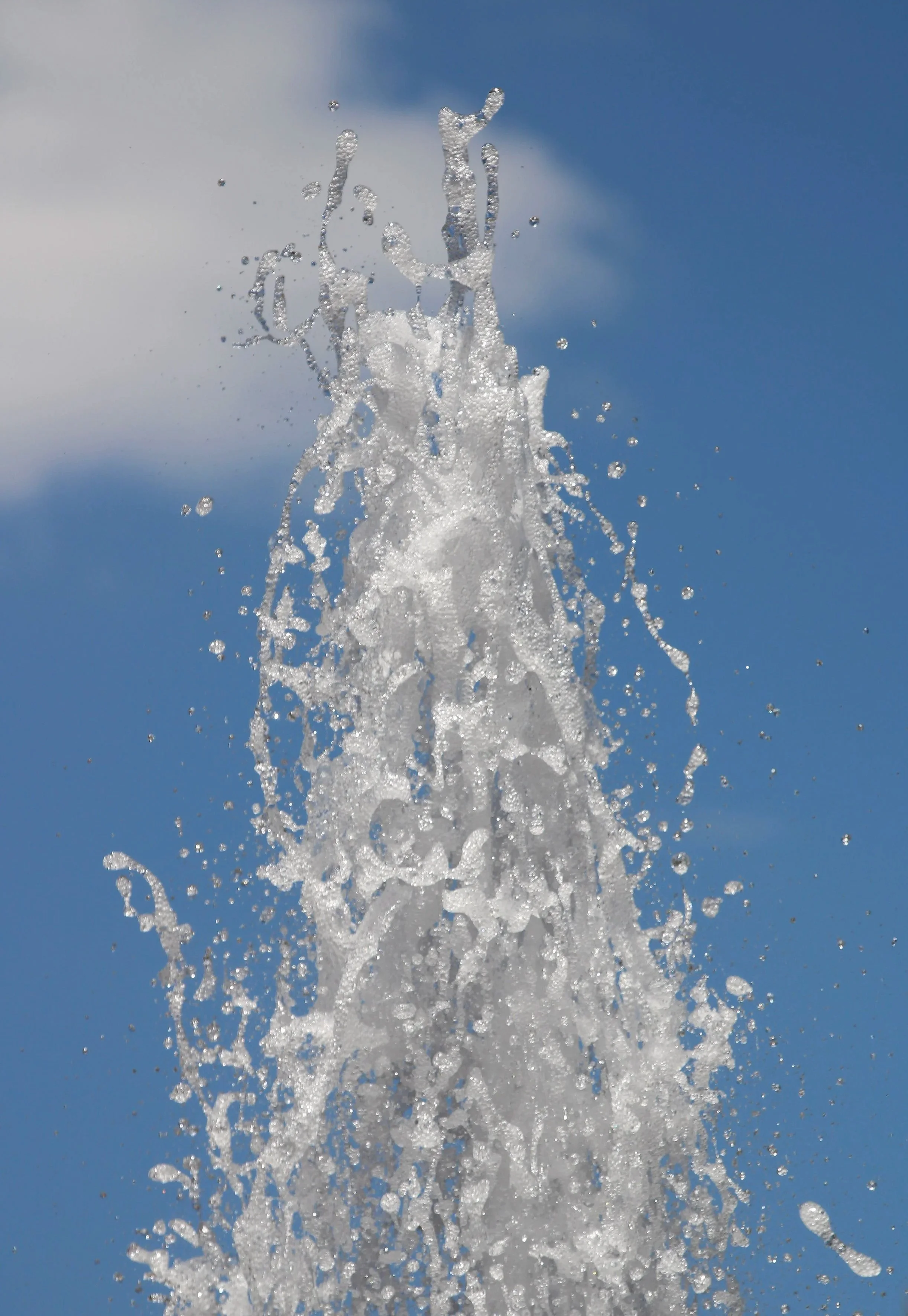 Eva Engel, Admiring Light Dance #12,  Canon EOS Rebel T7, 2026