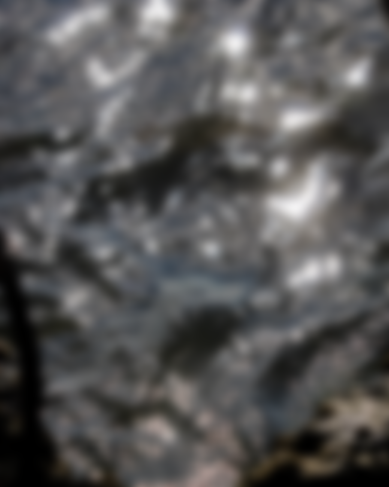 Admiring Light Dance