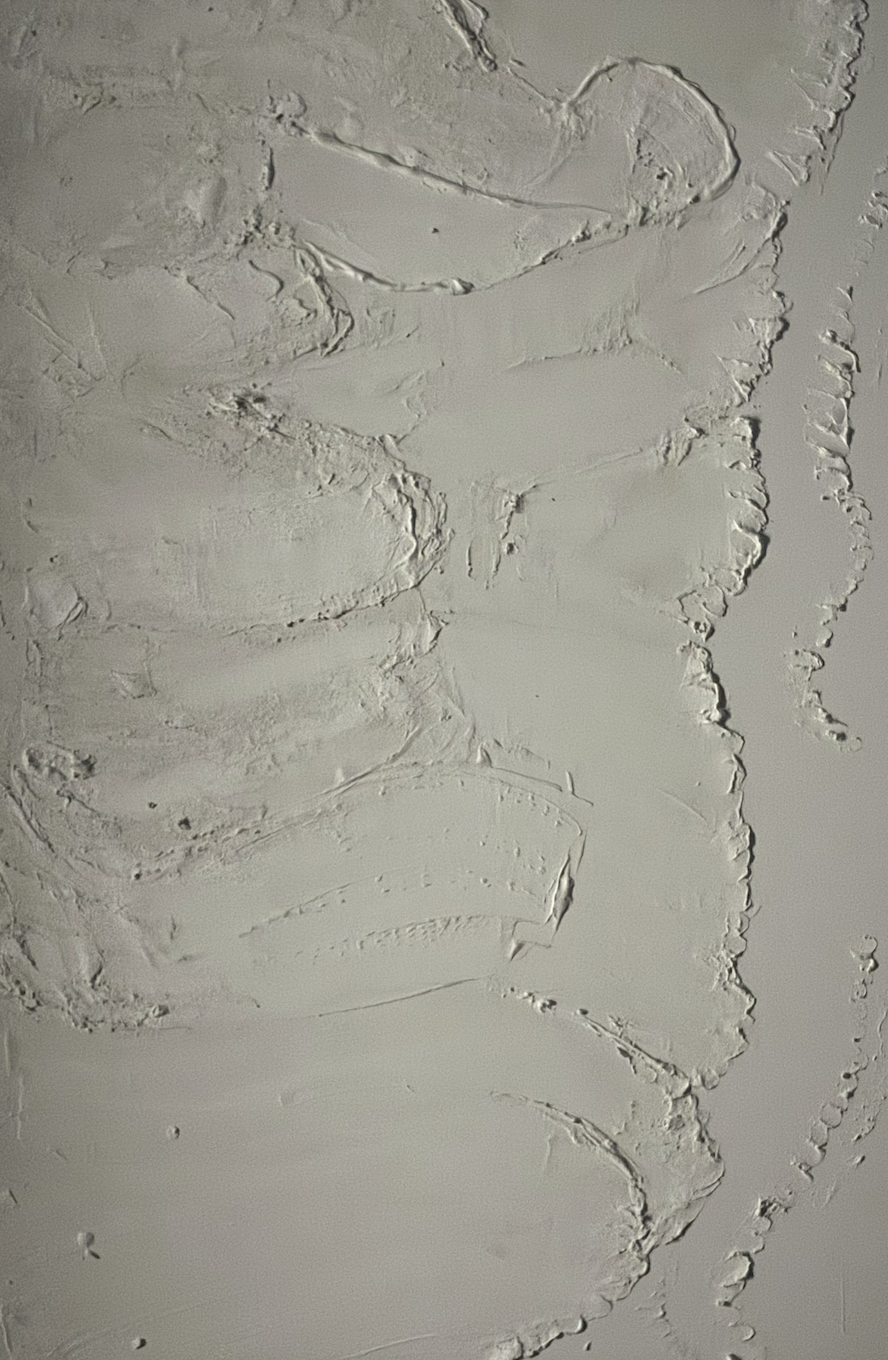 Eva Engel, Organic #4, plaster, 33.5"x 21" , 2025
