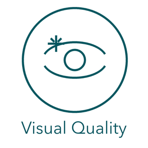 Logo with an eye and a star symbol above, and the text 'Visual Quality' below.